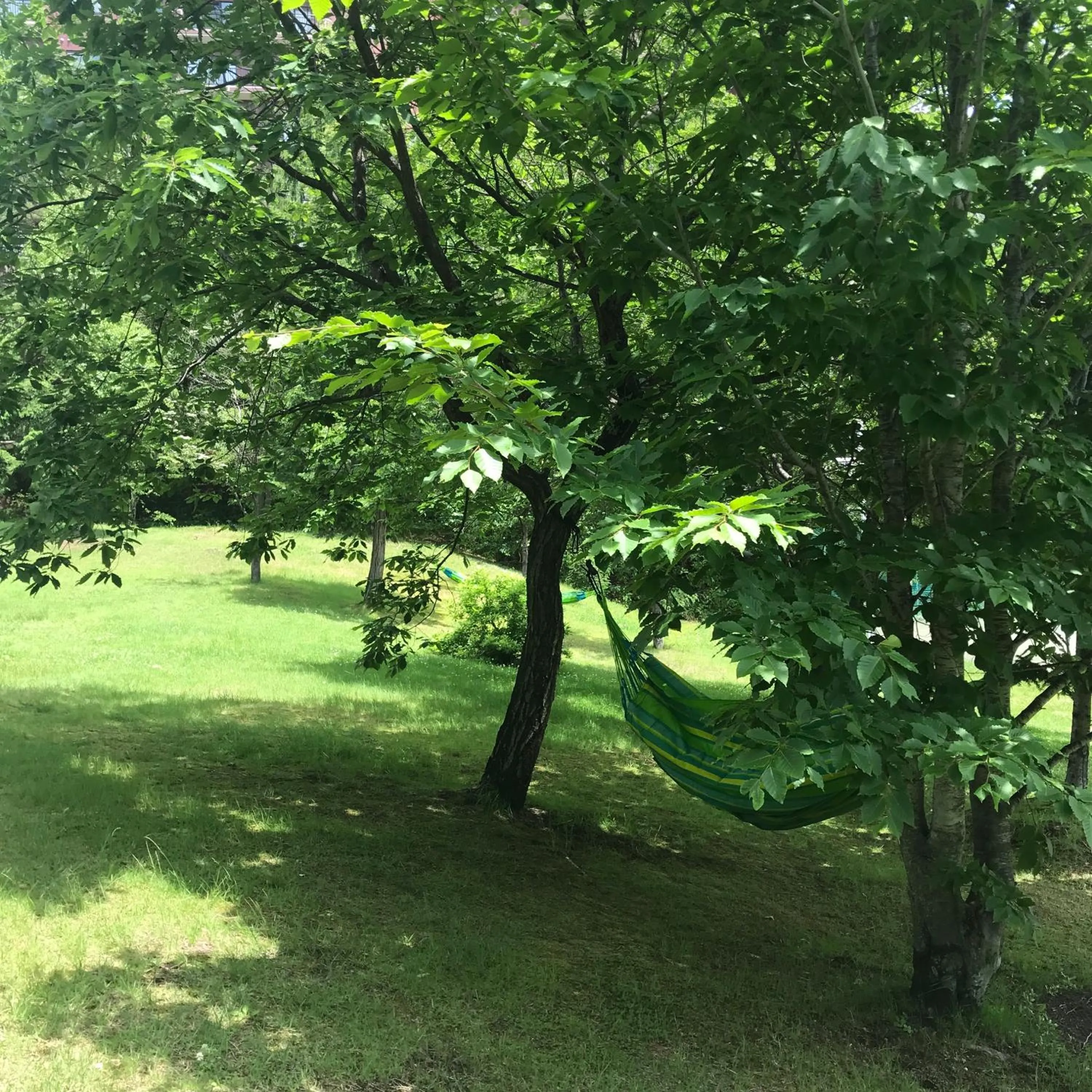 On site in Kusatsu Now Resort Hotel