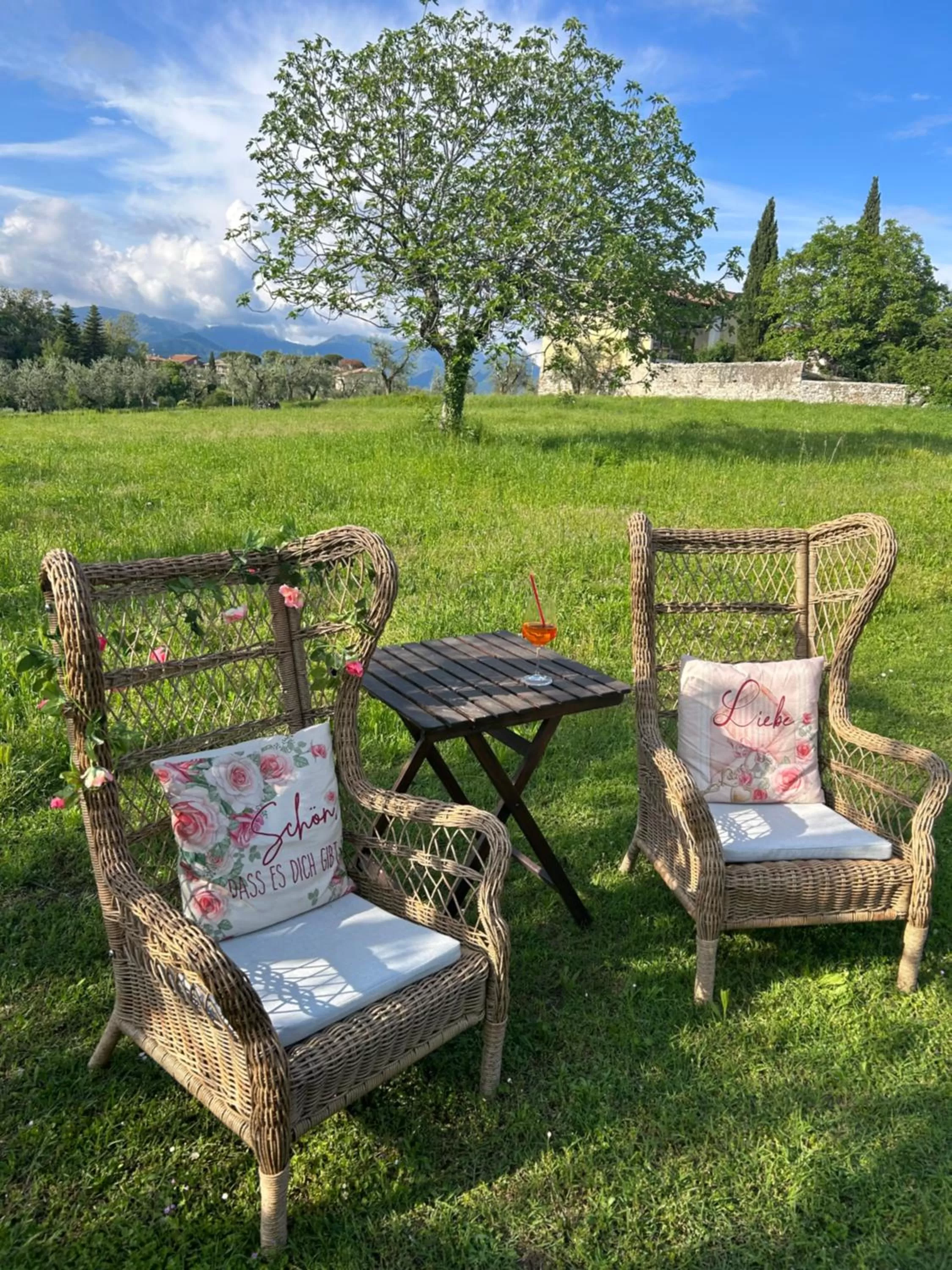 Spa and wellness centre/facilities, Garden in La Casa Di Campagna Sul Garda