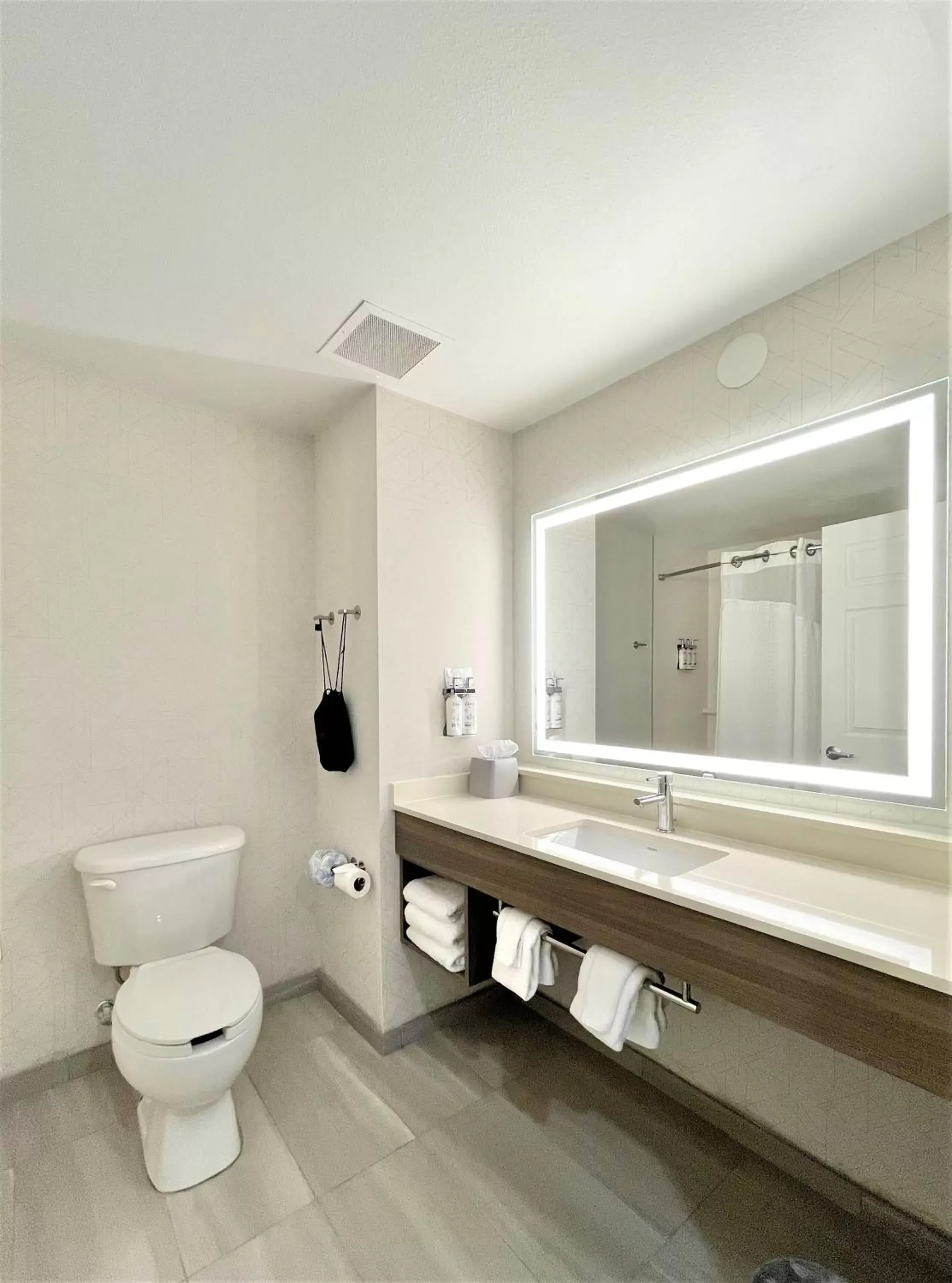 King Suite - Non-Smoking in Holiday Inn Express and Suites Tampa I-75 at Bruce B. Downs by IHG King Suite - Non-Smoking in Holiday Inn Express and Suites Tampa I-75 at Bruce B. Downs by IHG