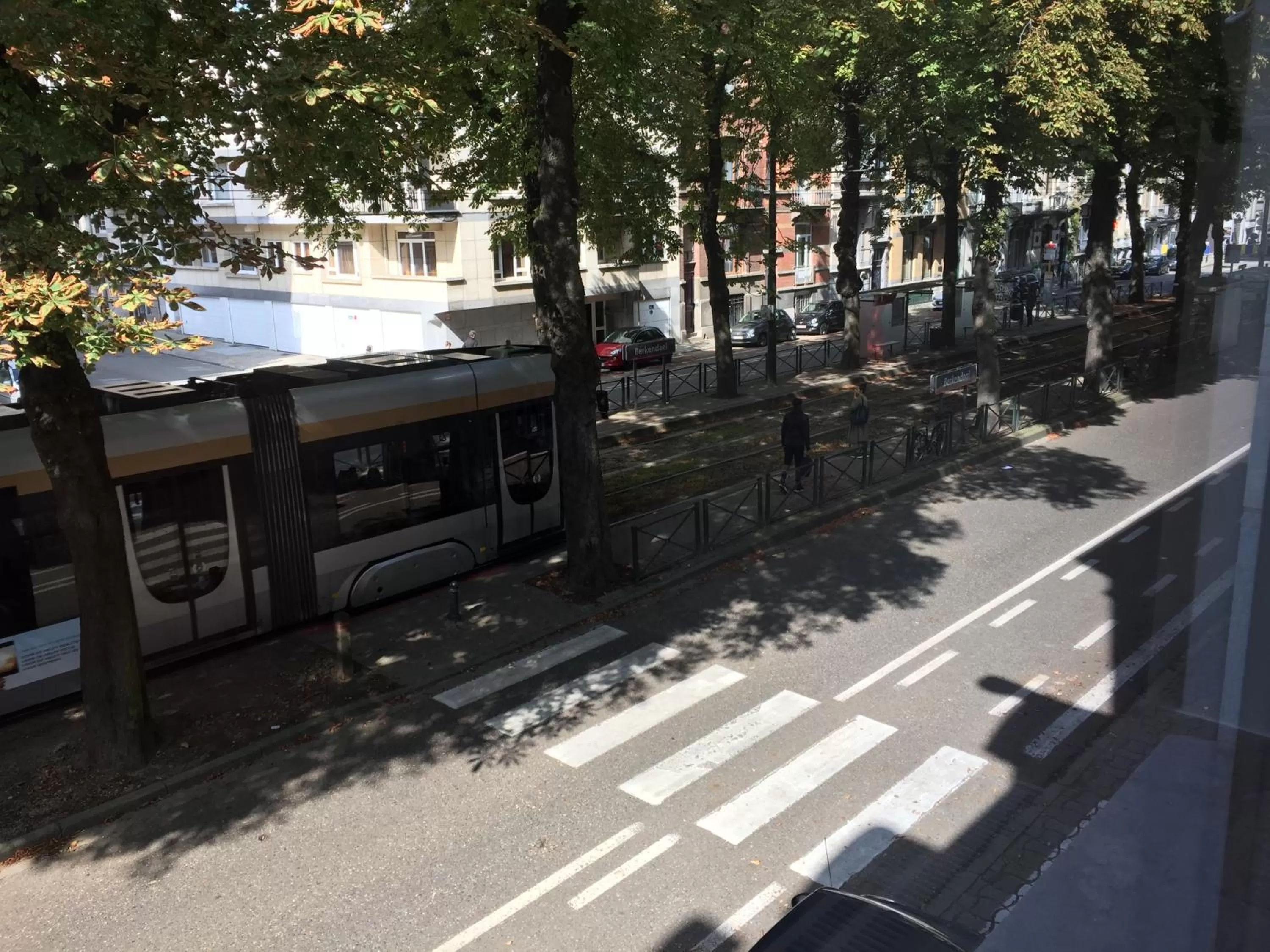 Street view in Albert Molière