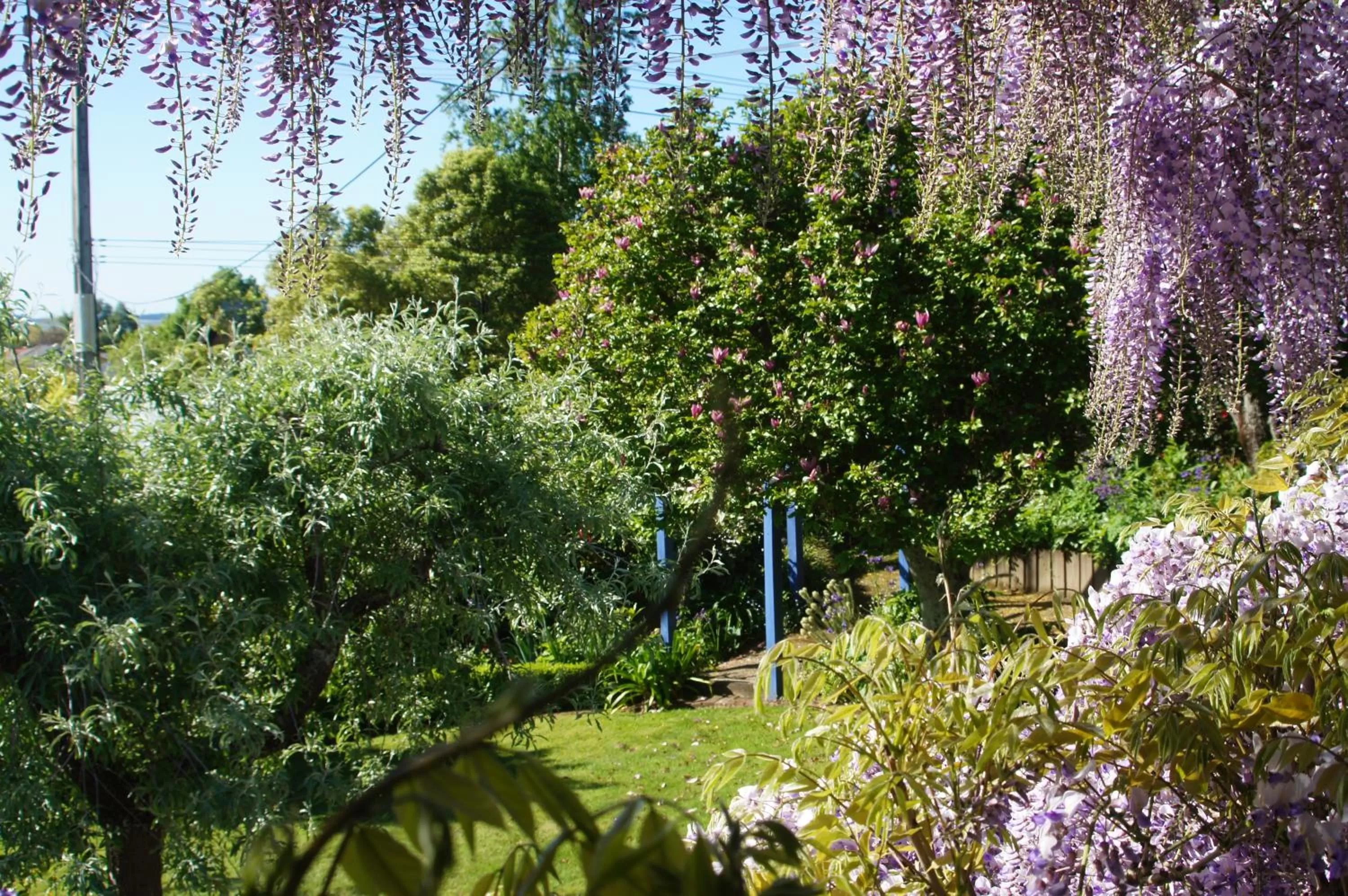 Garden in Rose Cottage B&B