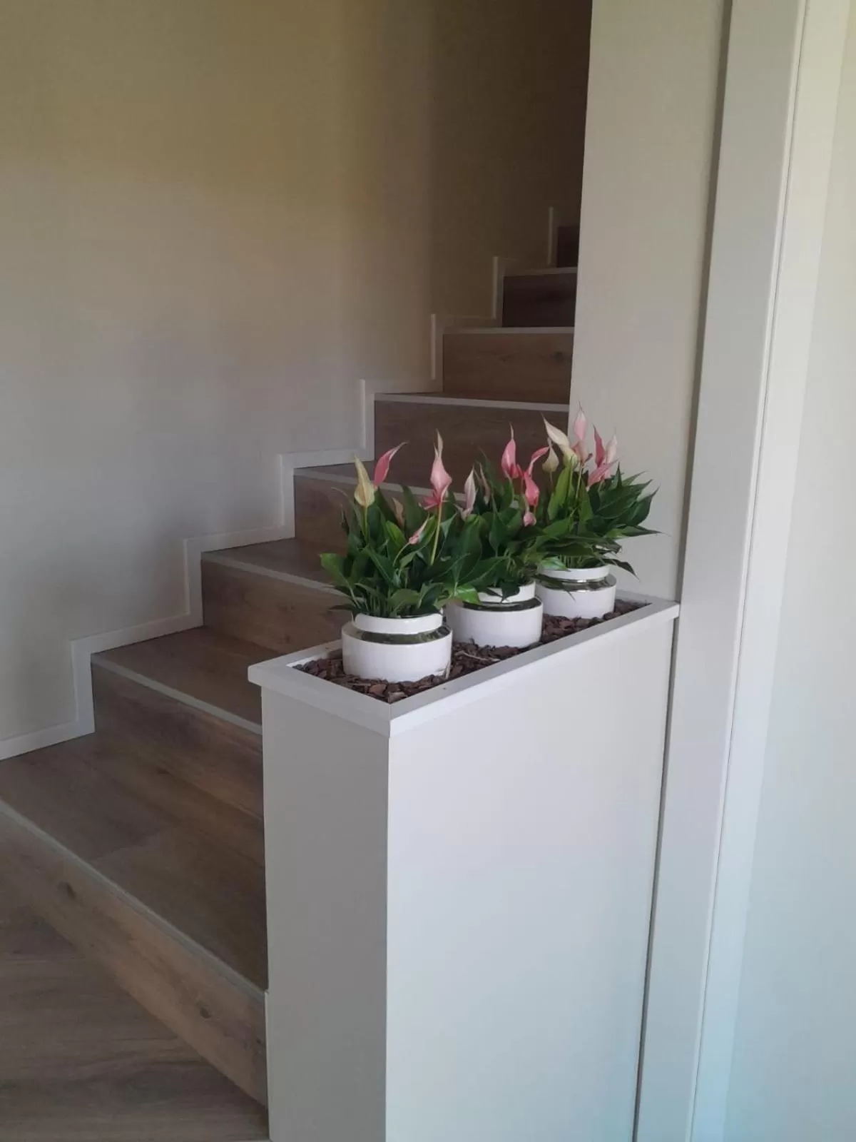 Communal lounge/ TV room in B&B LA VALLUNA