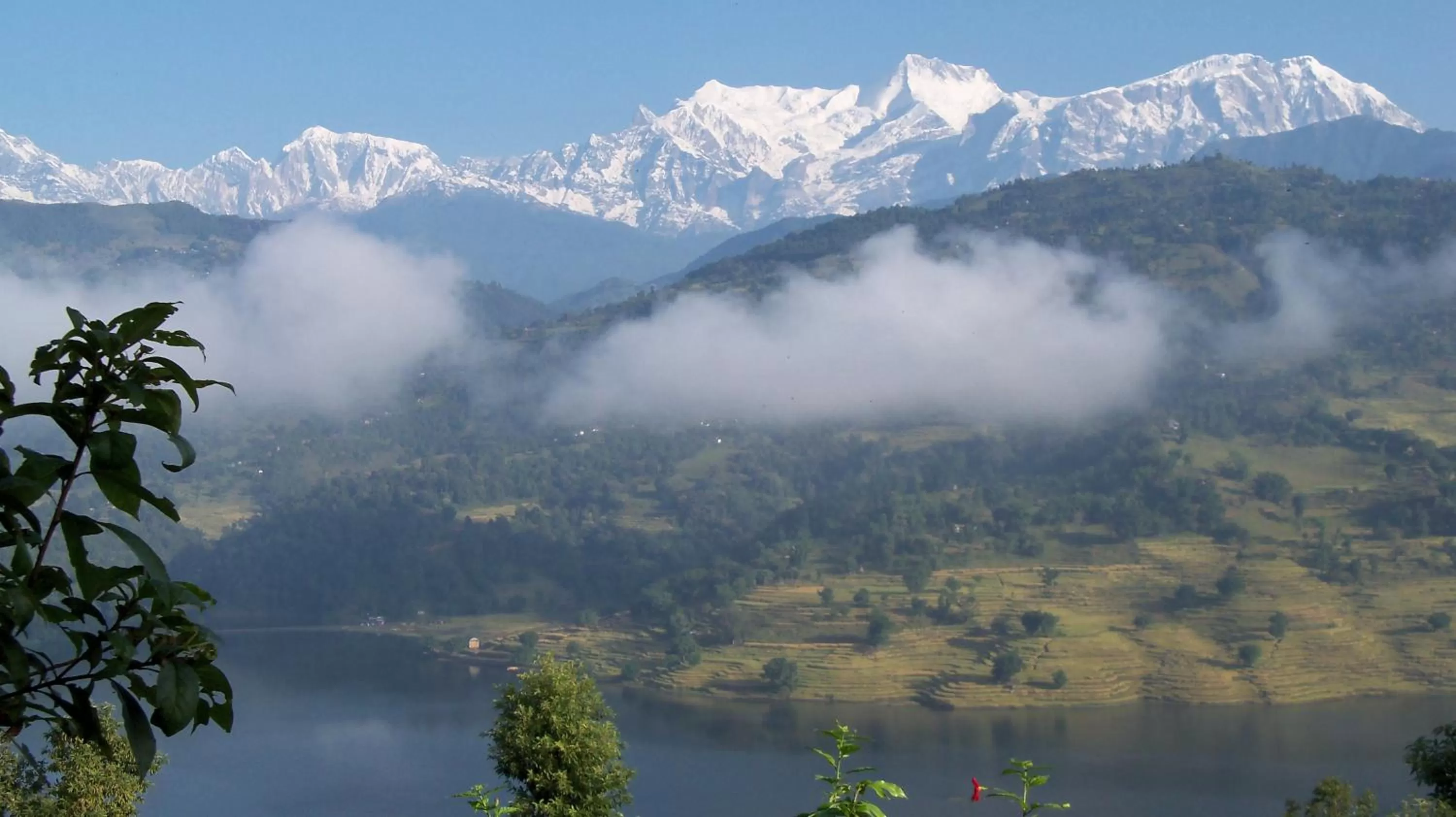 Natural Landscape in Dinesh House