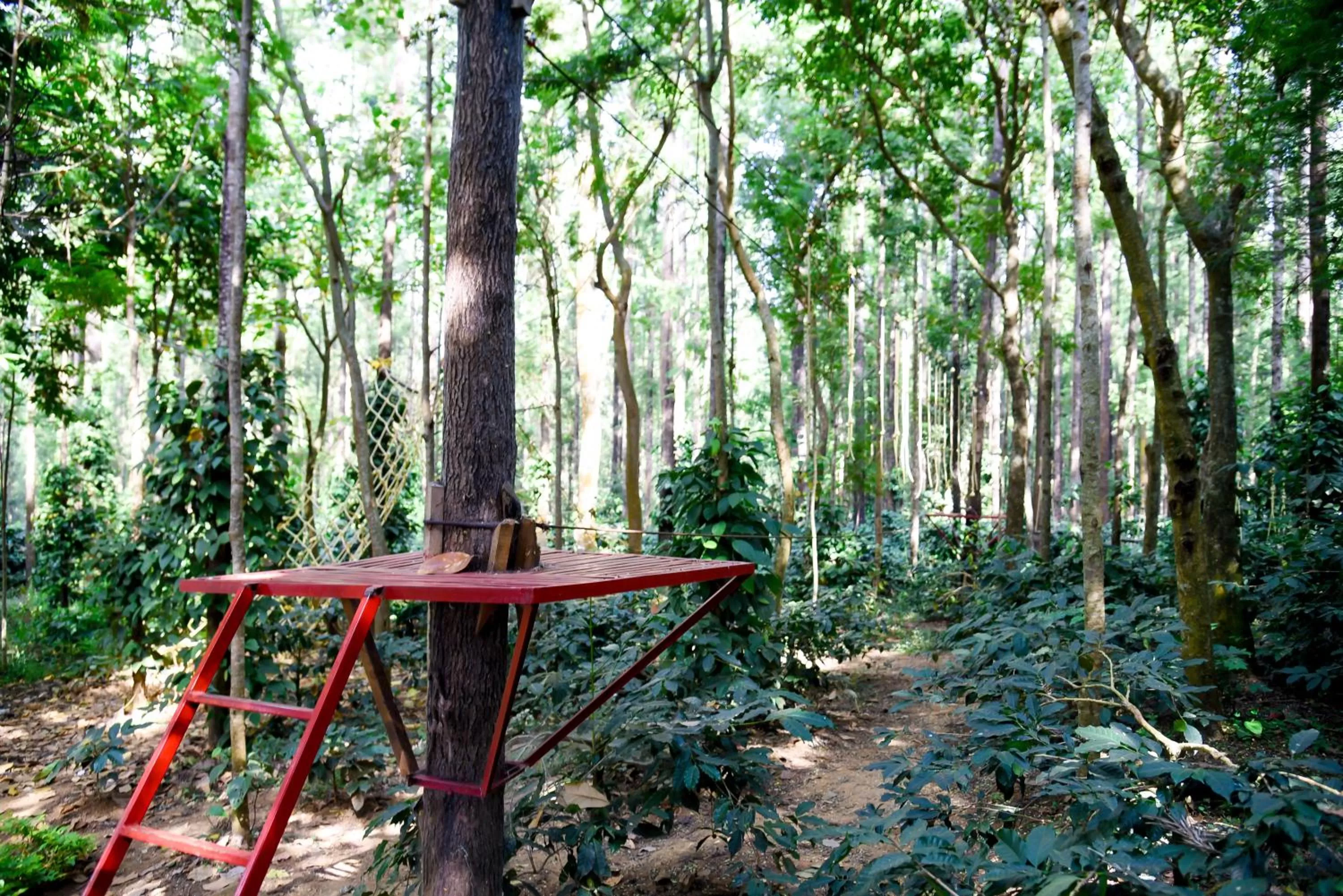 Activities in The Spectrum Resort, Chikmagalur