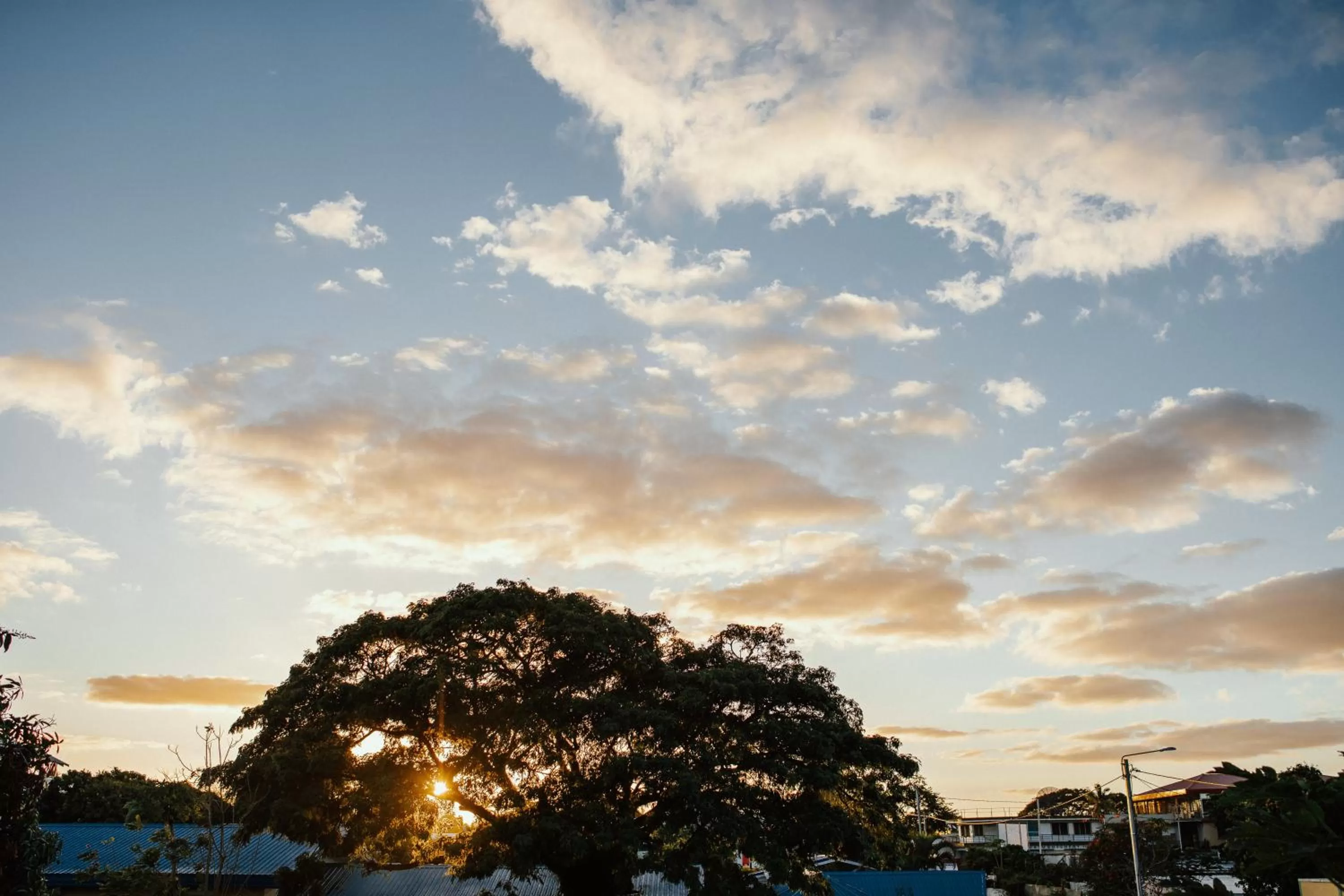 Natural landscape in Kaiviti Motel