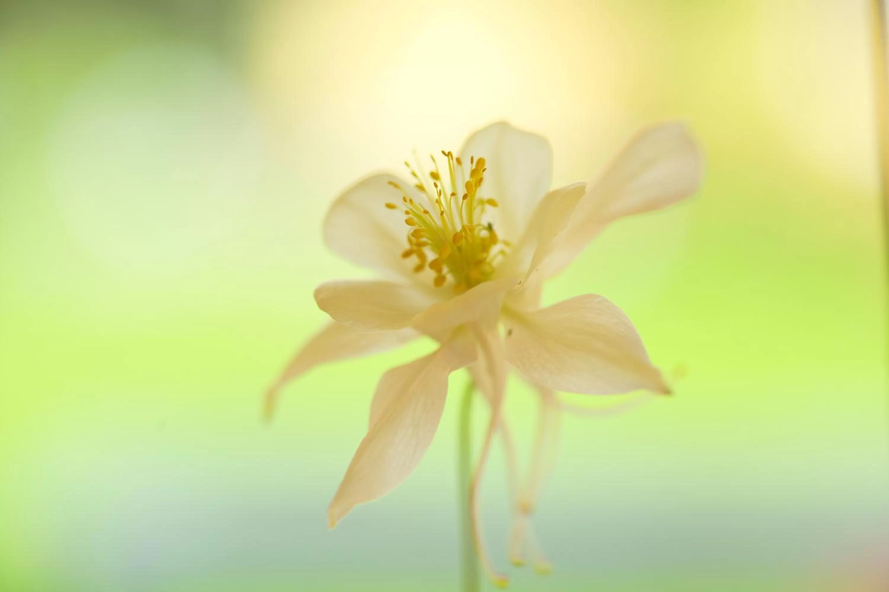 Natural landscape in Hotel-Marks-Garni