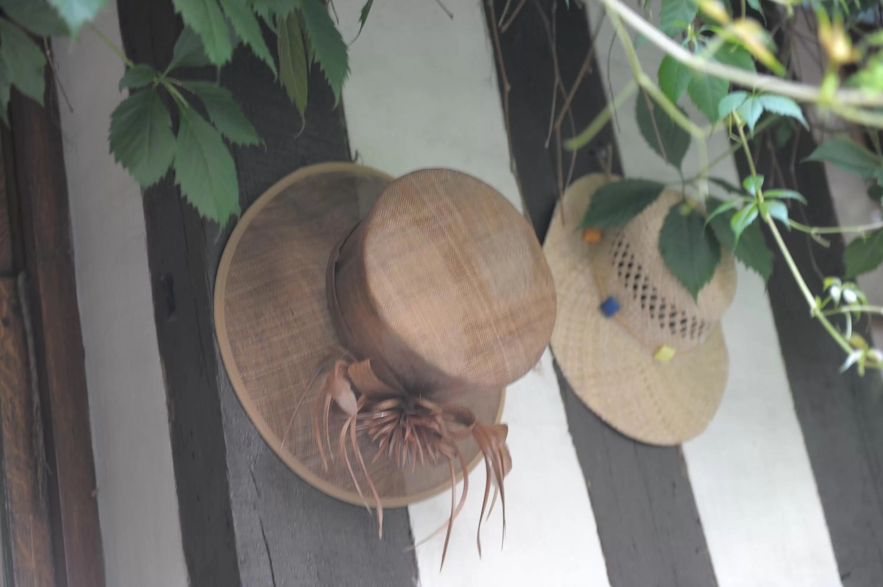 Property building in Hôtel De La Cathédrale