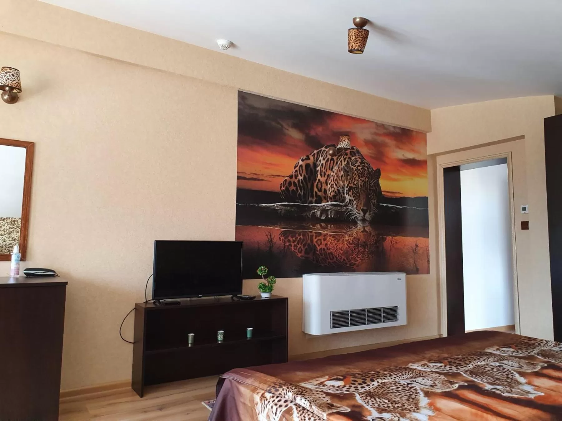 TV/Entertainment Center in Hotel Africa