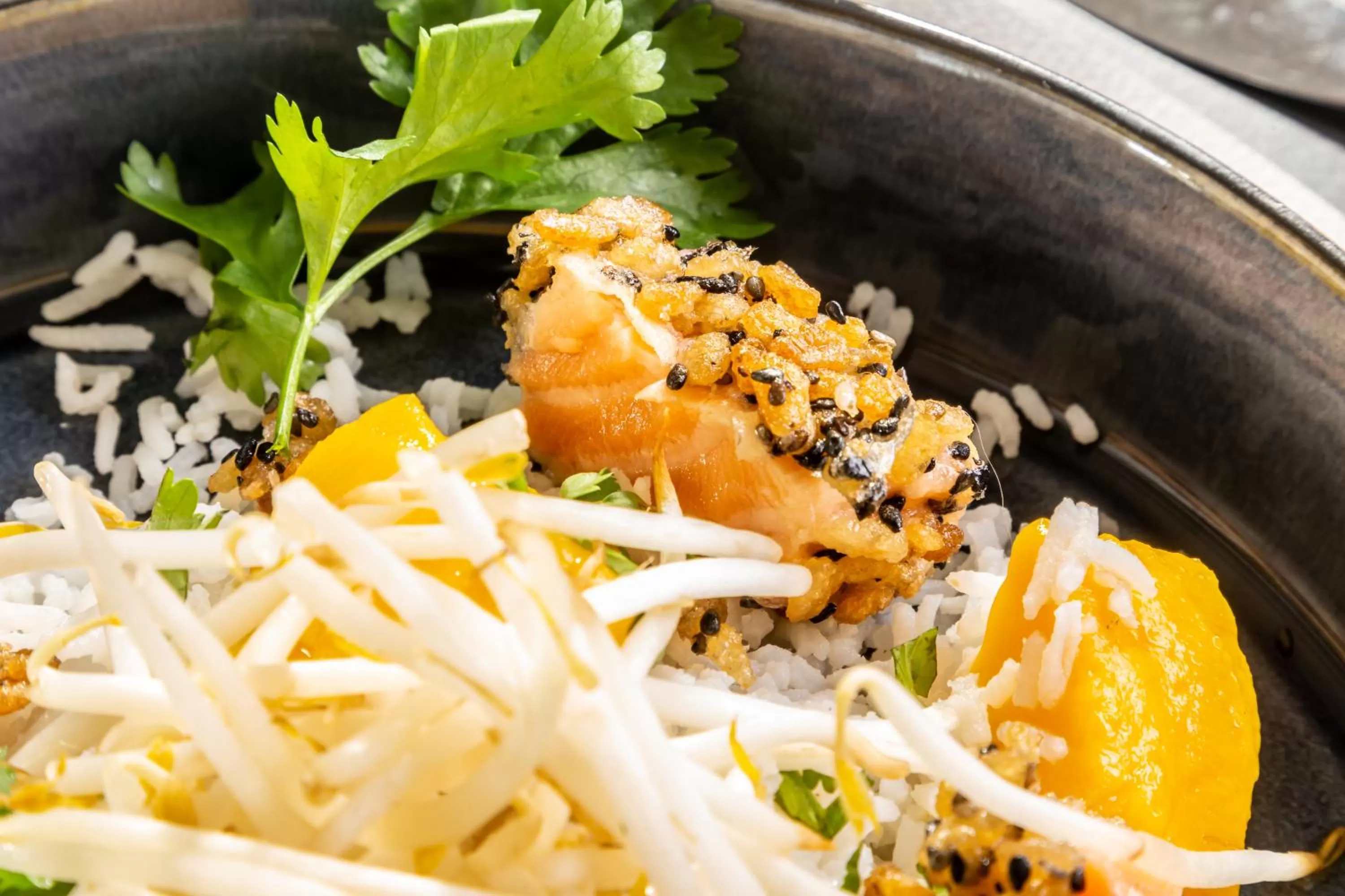 Restaurant/places to eat in Novotel Bourges