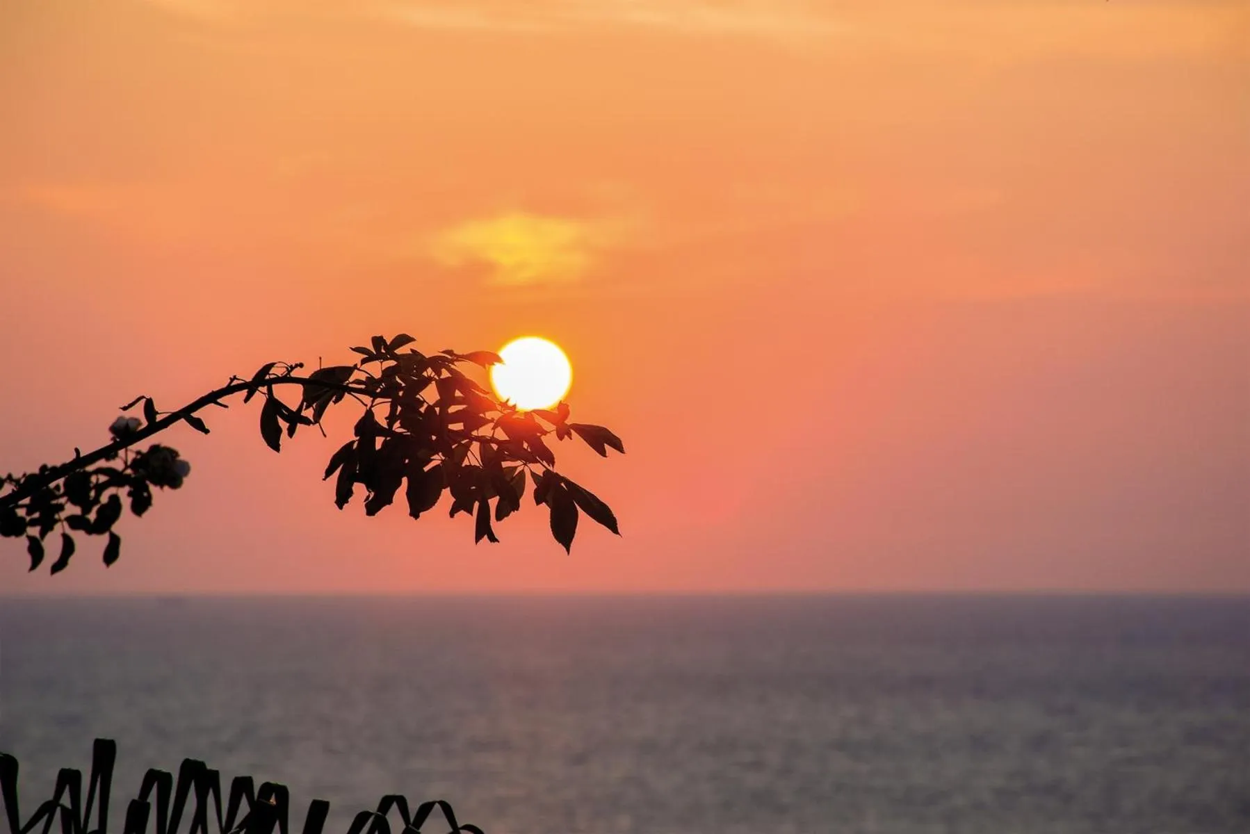 Lounge or bar in Hotel Capizzo