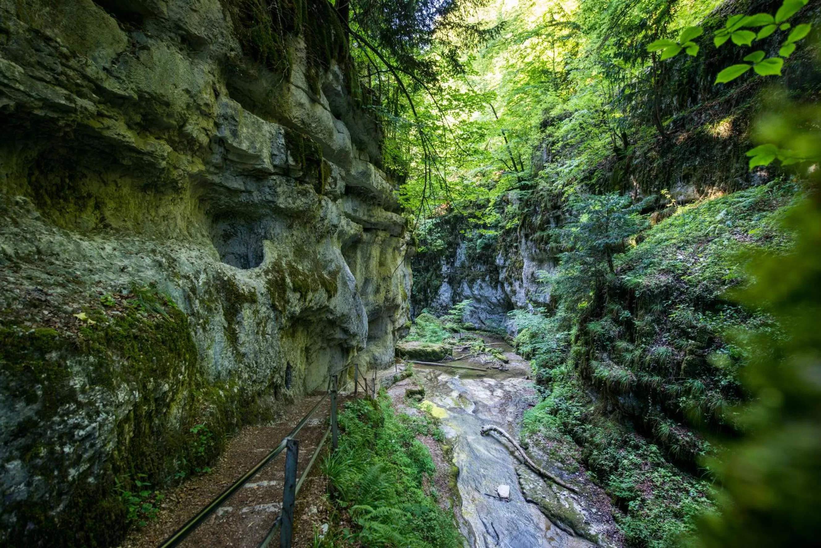 Natural landscape in City Hotel Biel Bienne Free Parking