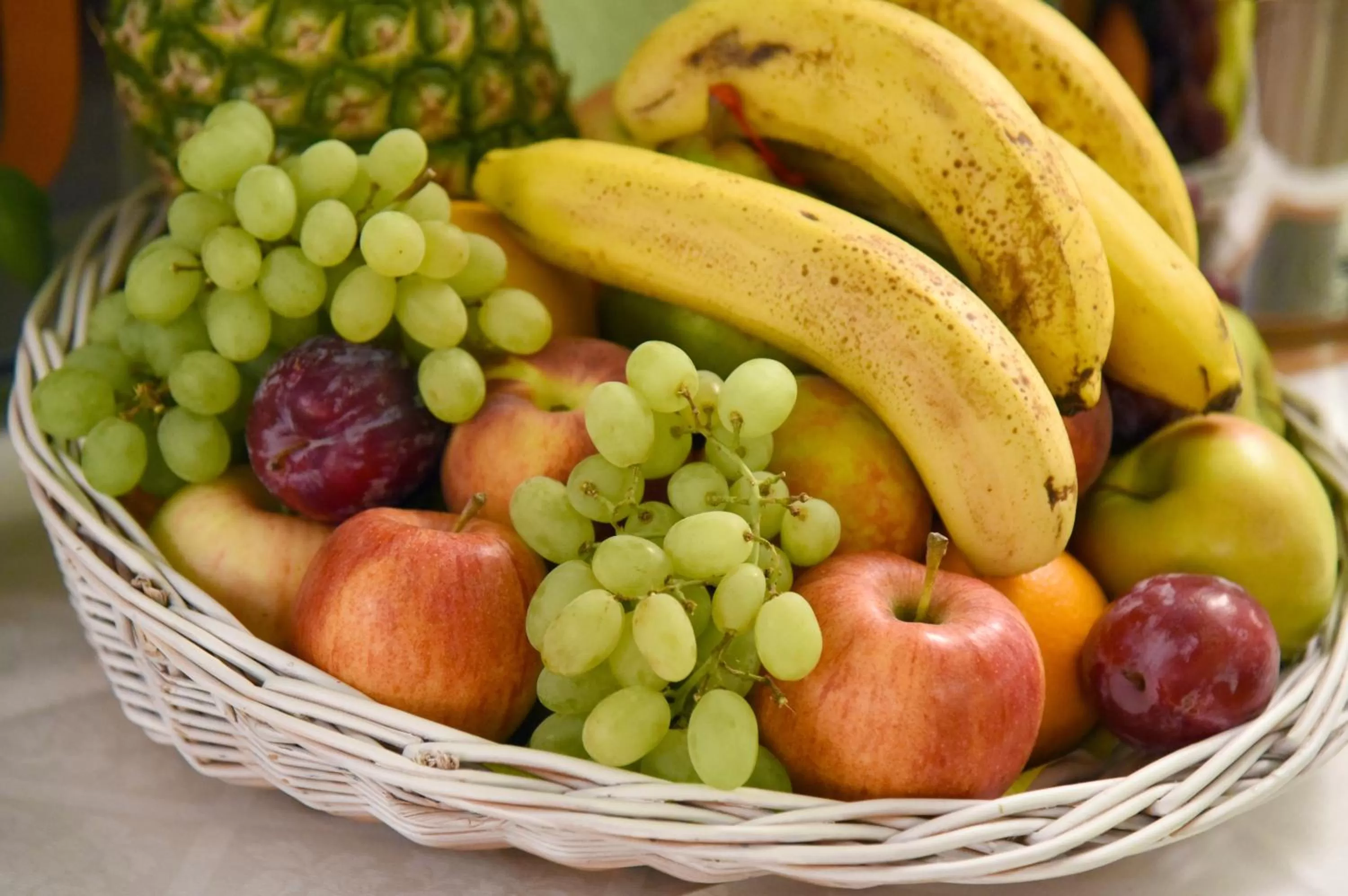 Food close-up in Tulip Inn Beaulieu Lausanne