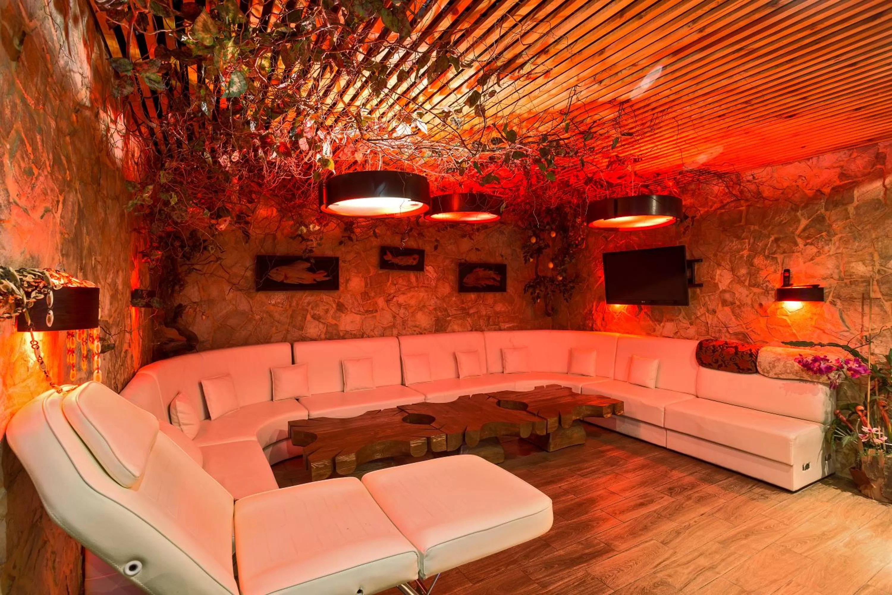 Photo of the whole room in Boutique Hotel California