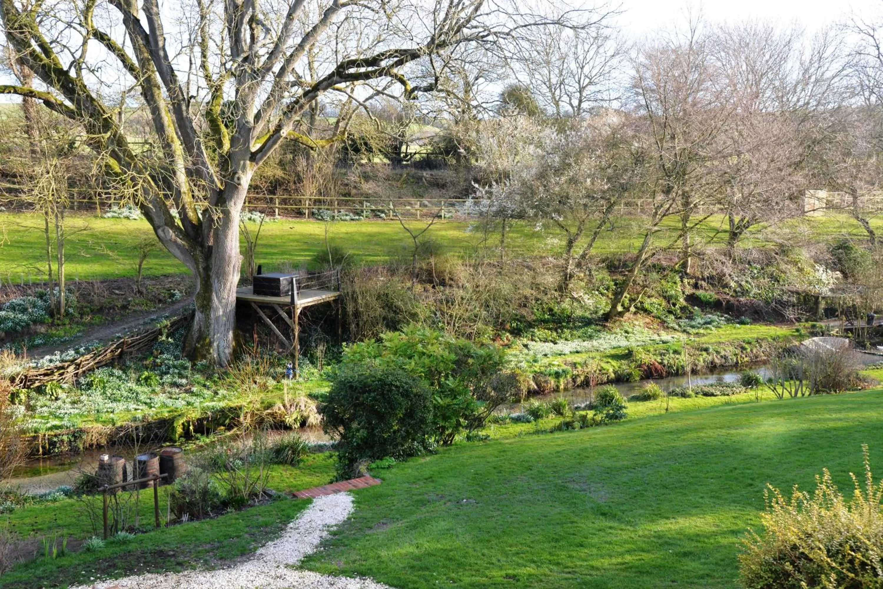 Spring, Garden in Thatchcombe B&B
