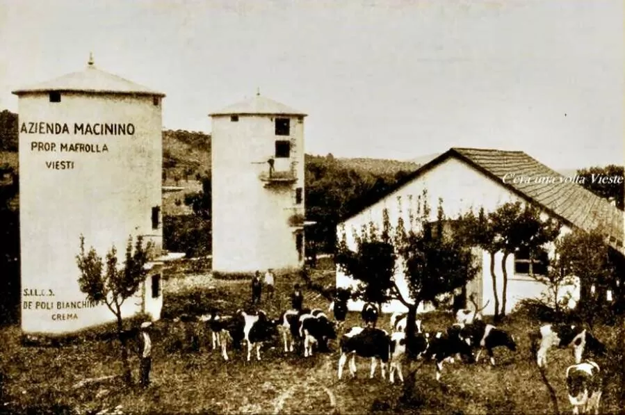 Activities in Rocca Sul Mare Hotel