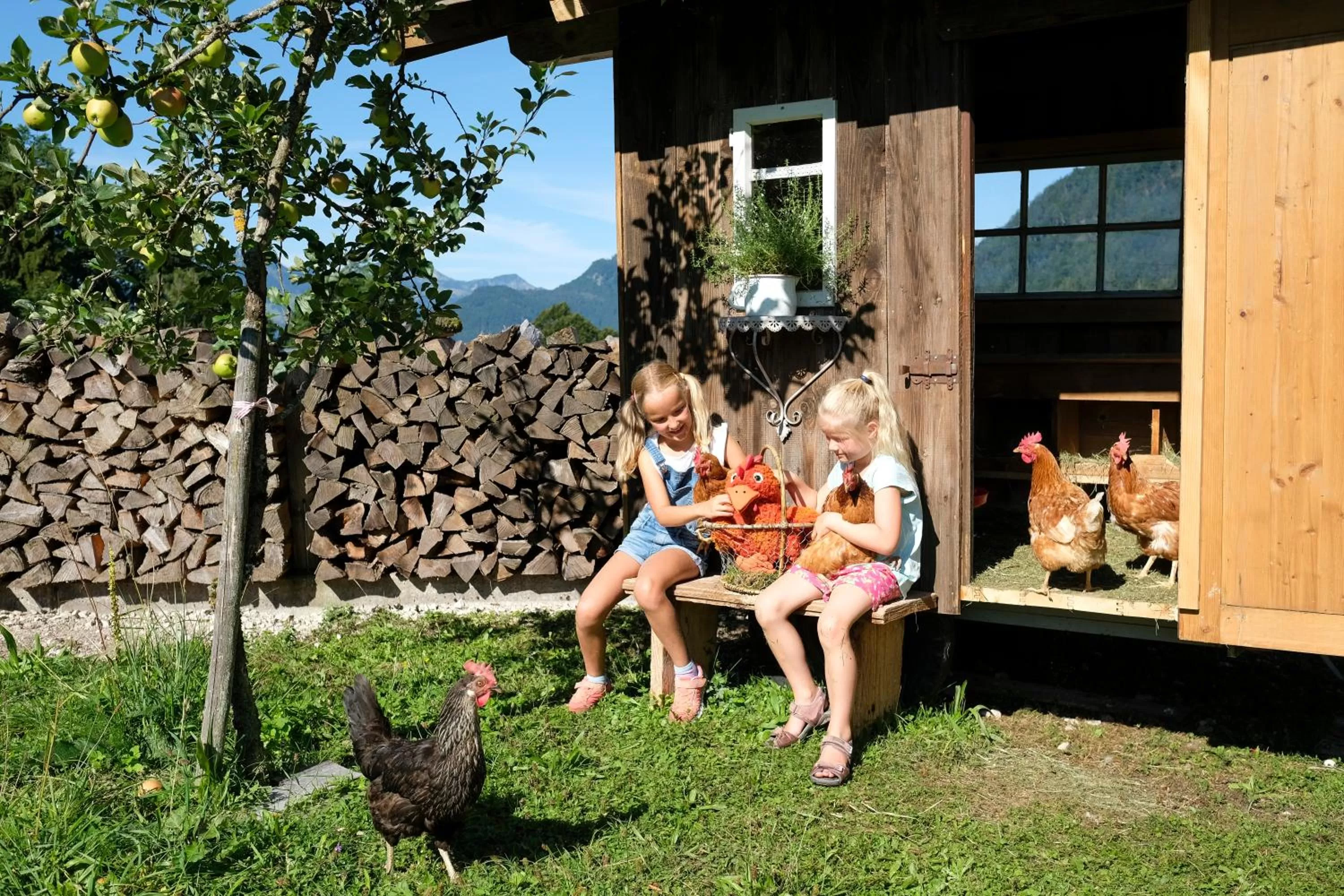 Activities in Das Lenz by Inncomer