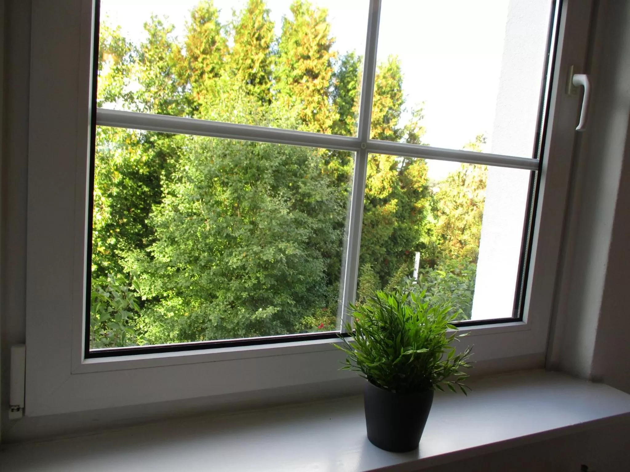 Garden view in Best Pension