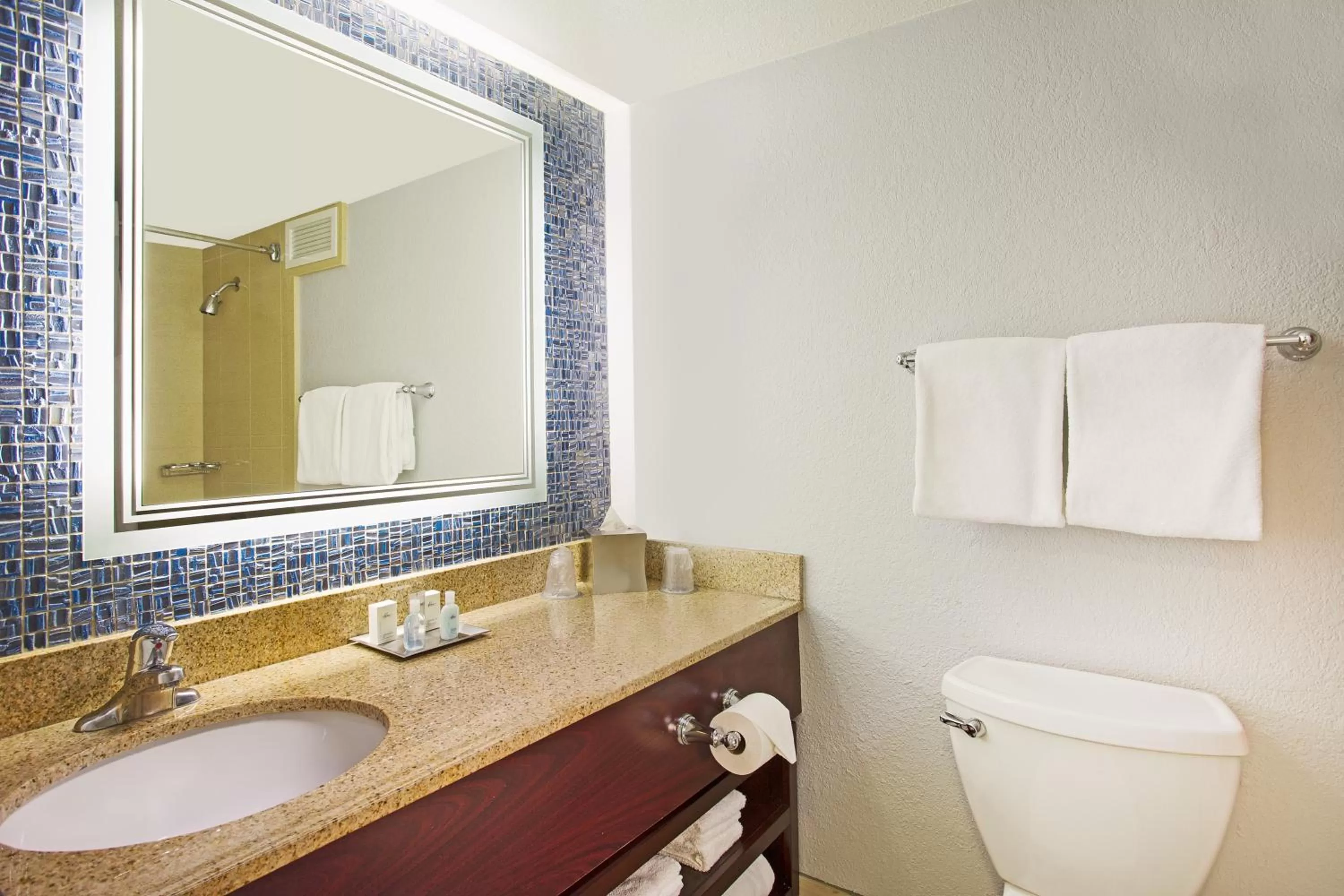 Shower in Wyndham Lake Buena Vista – Disney Springs® Area