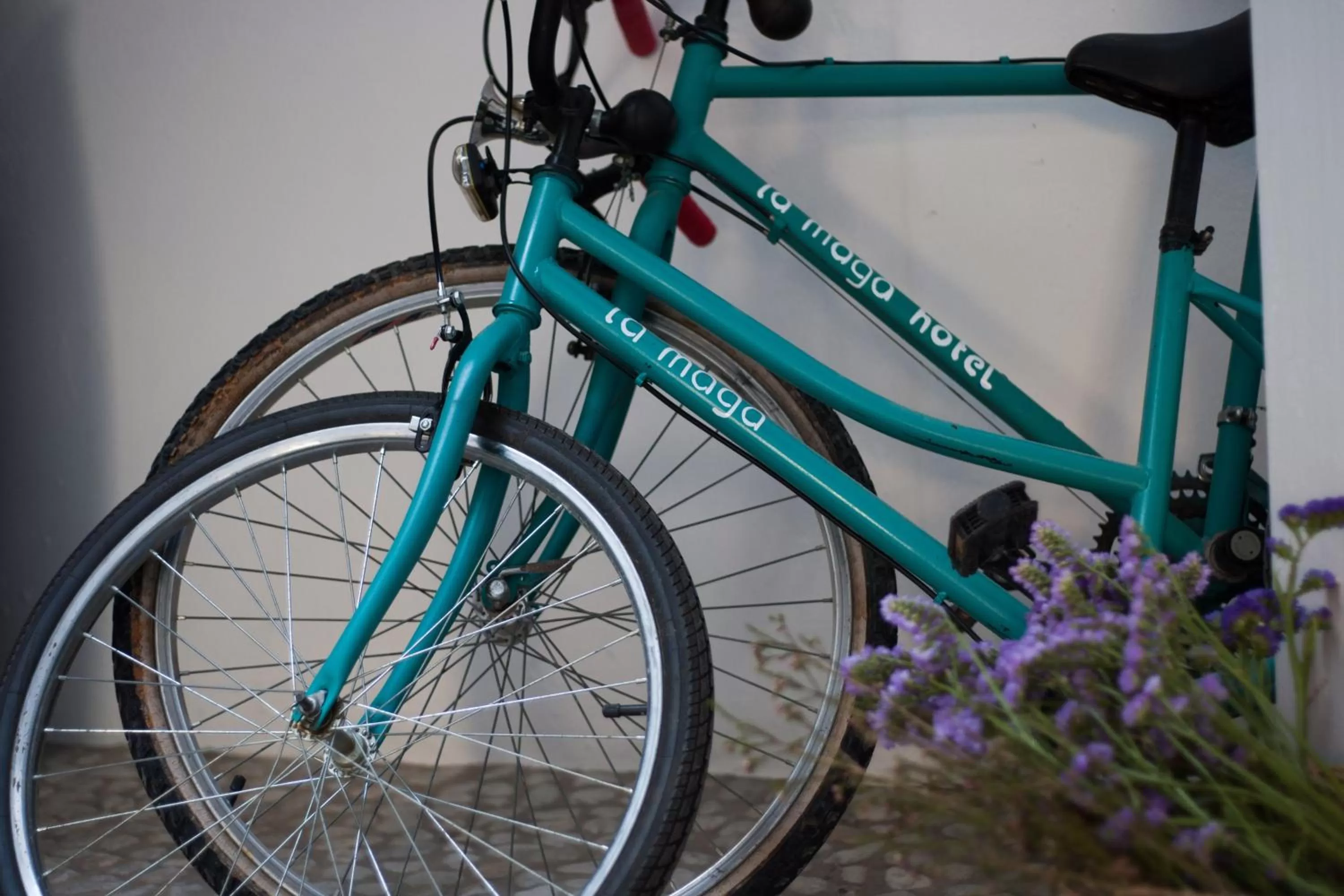 Cycling in La Maga Rooms