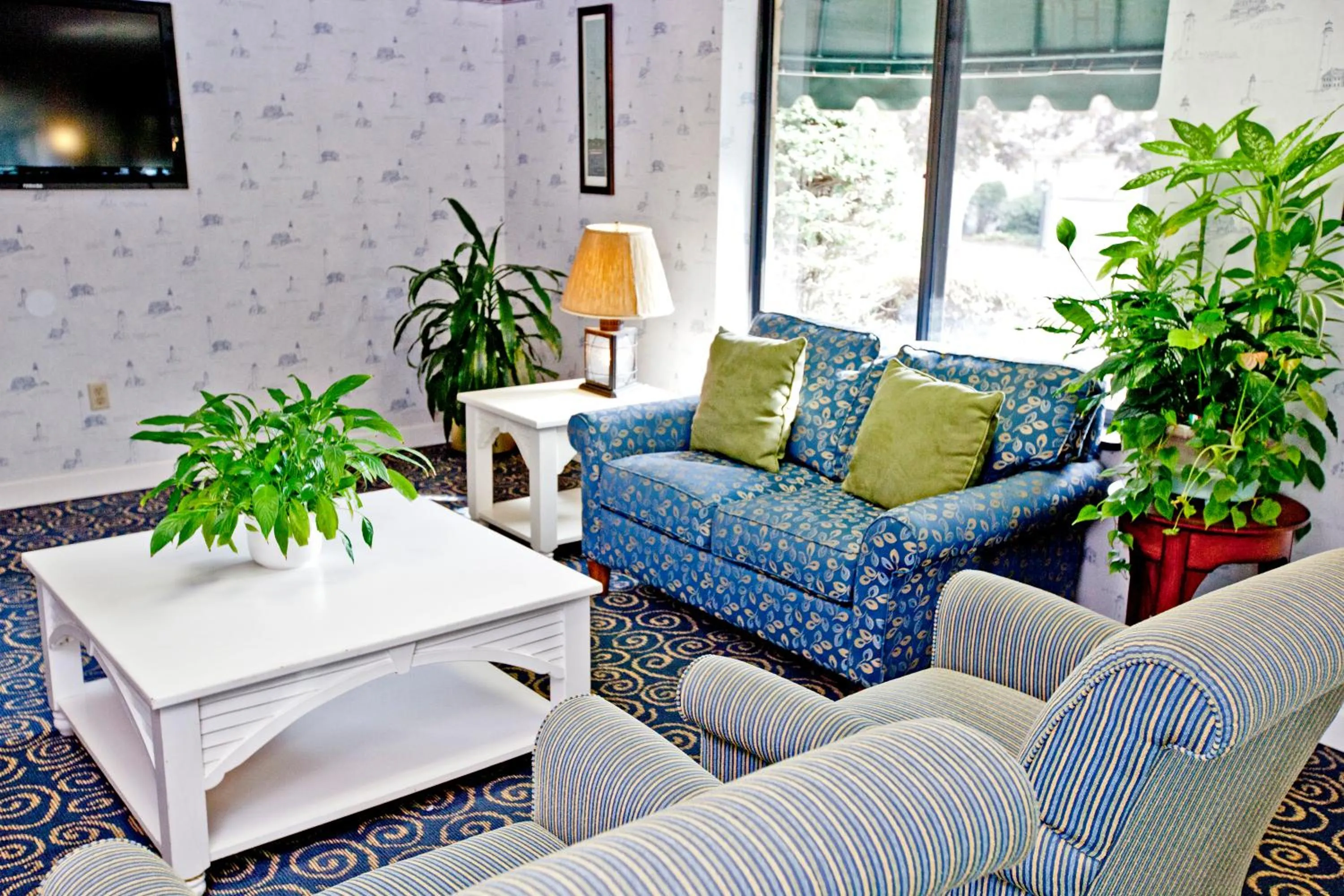 TV and multimedia in Holly Tree Resort