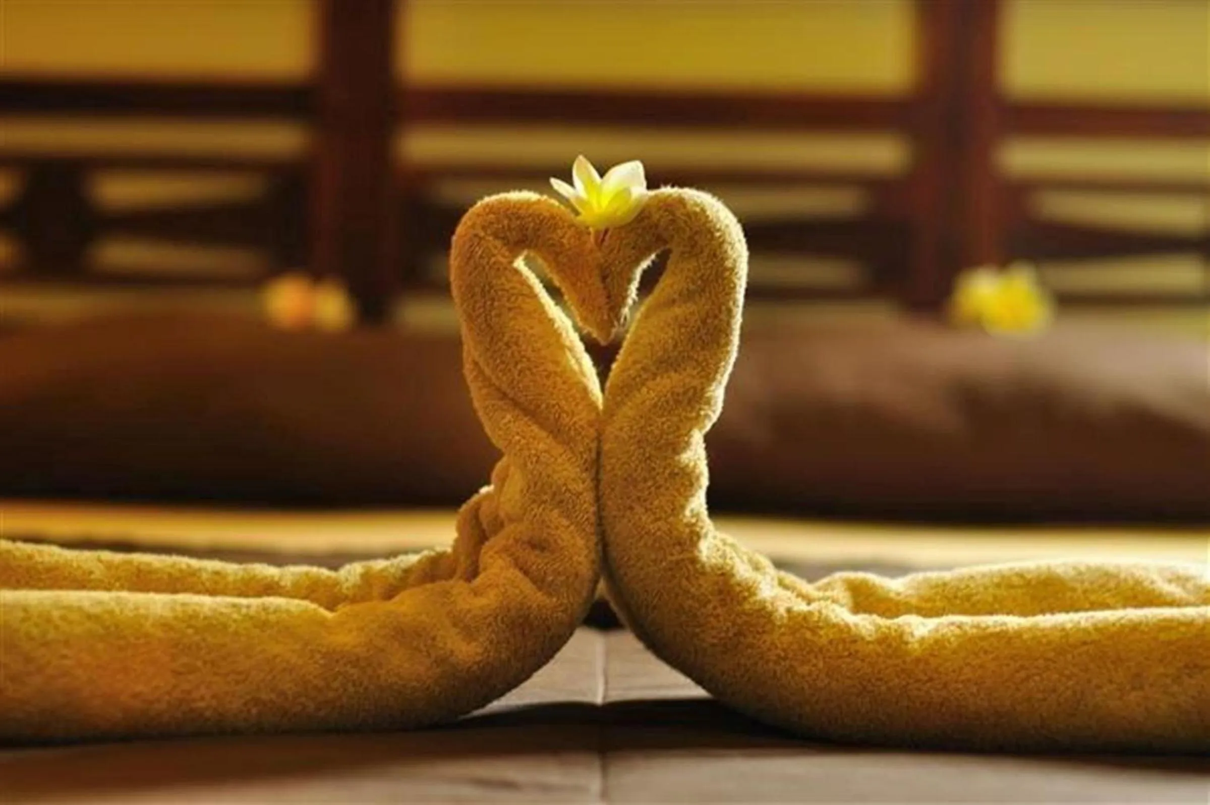 Other, Bed in Sari Stay