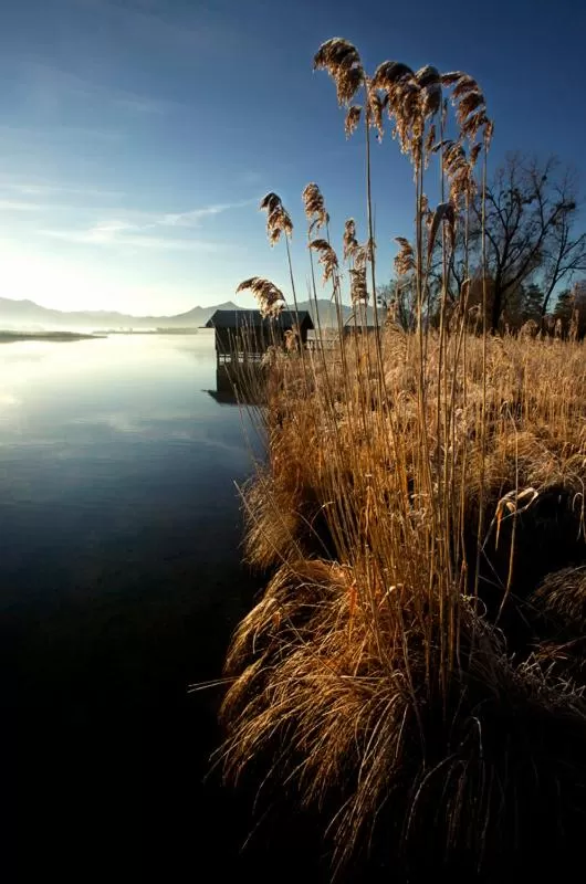 Natural landscape in Zum Fischer am See ***S