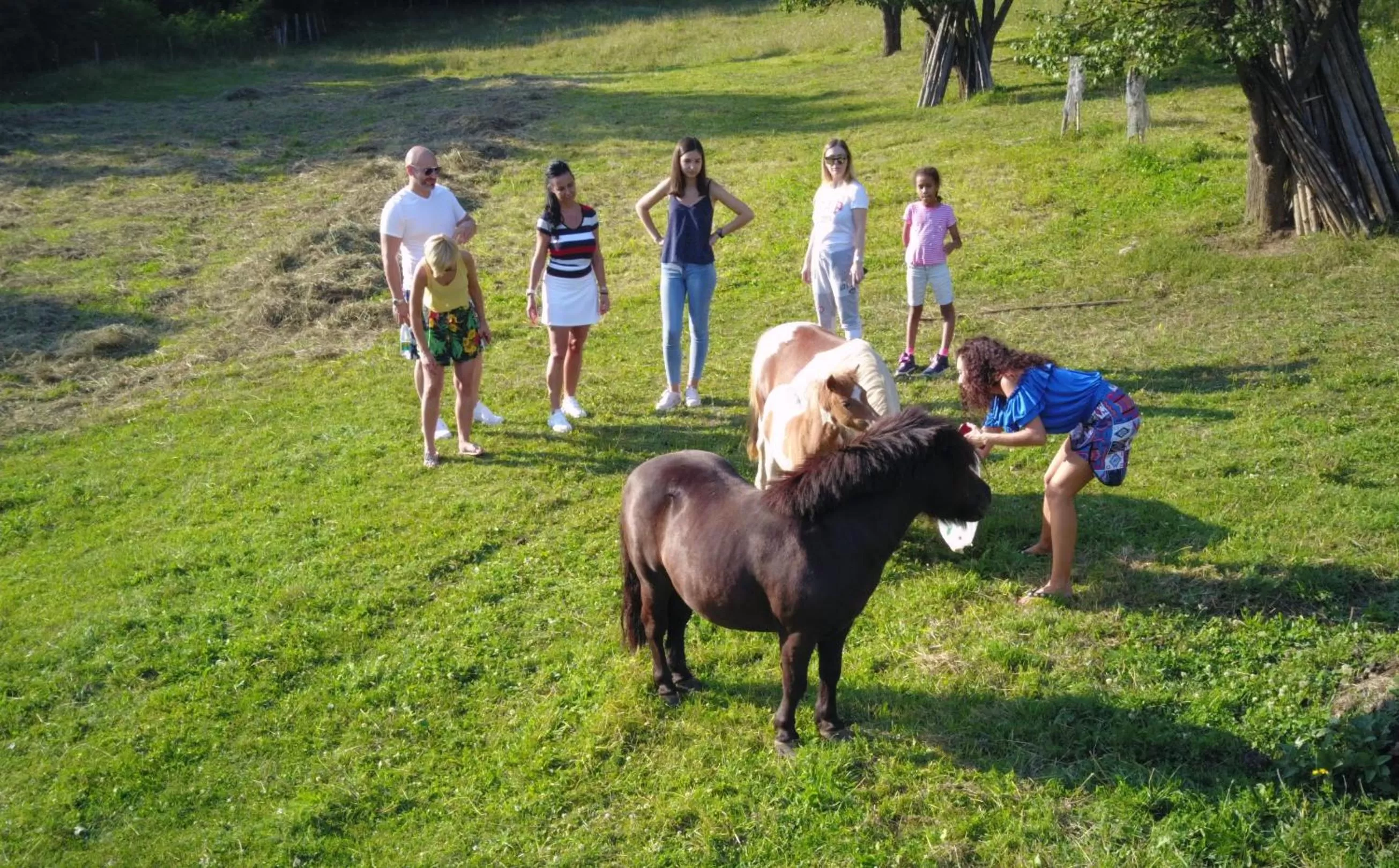 Property building in Pensiunea SilvAnka