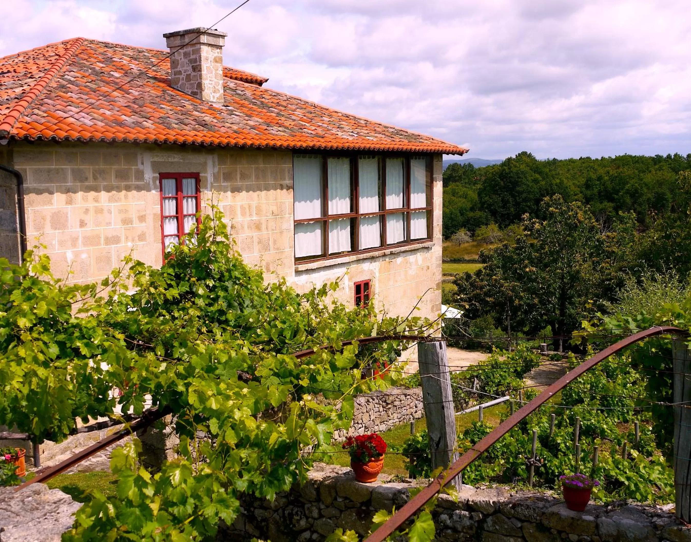 Property building in Rectoral de Anllo