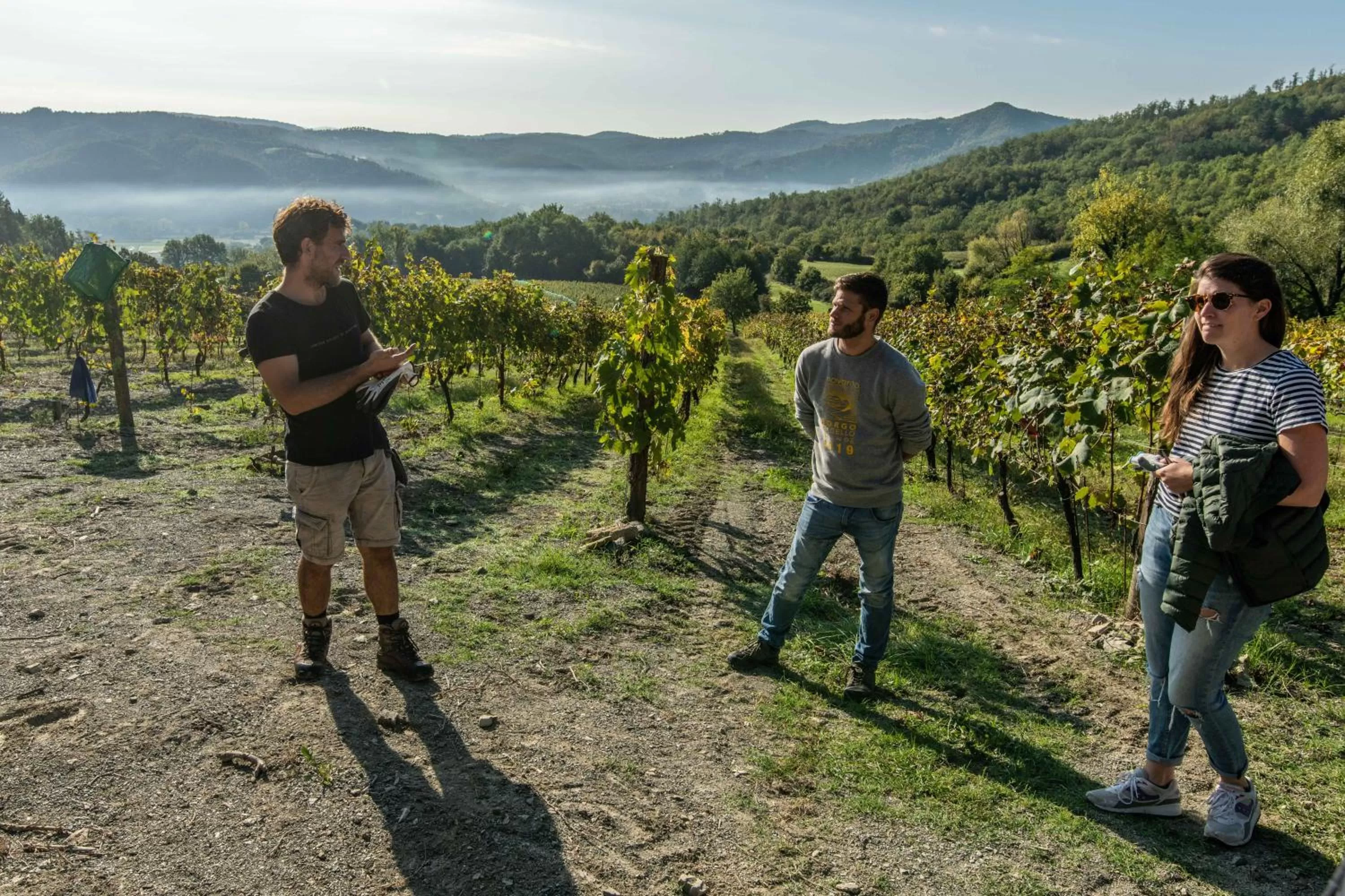 Property building in novanta nature retreat