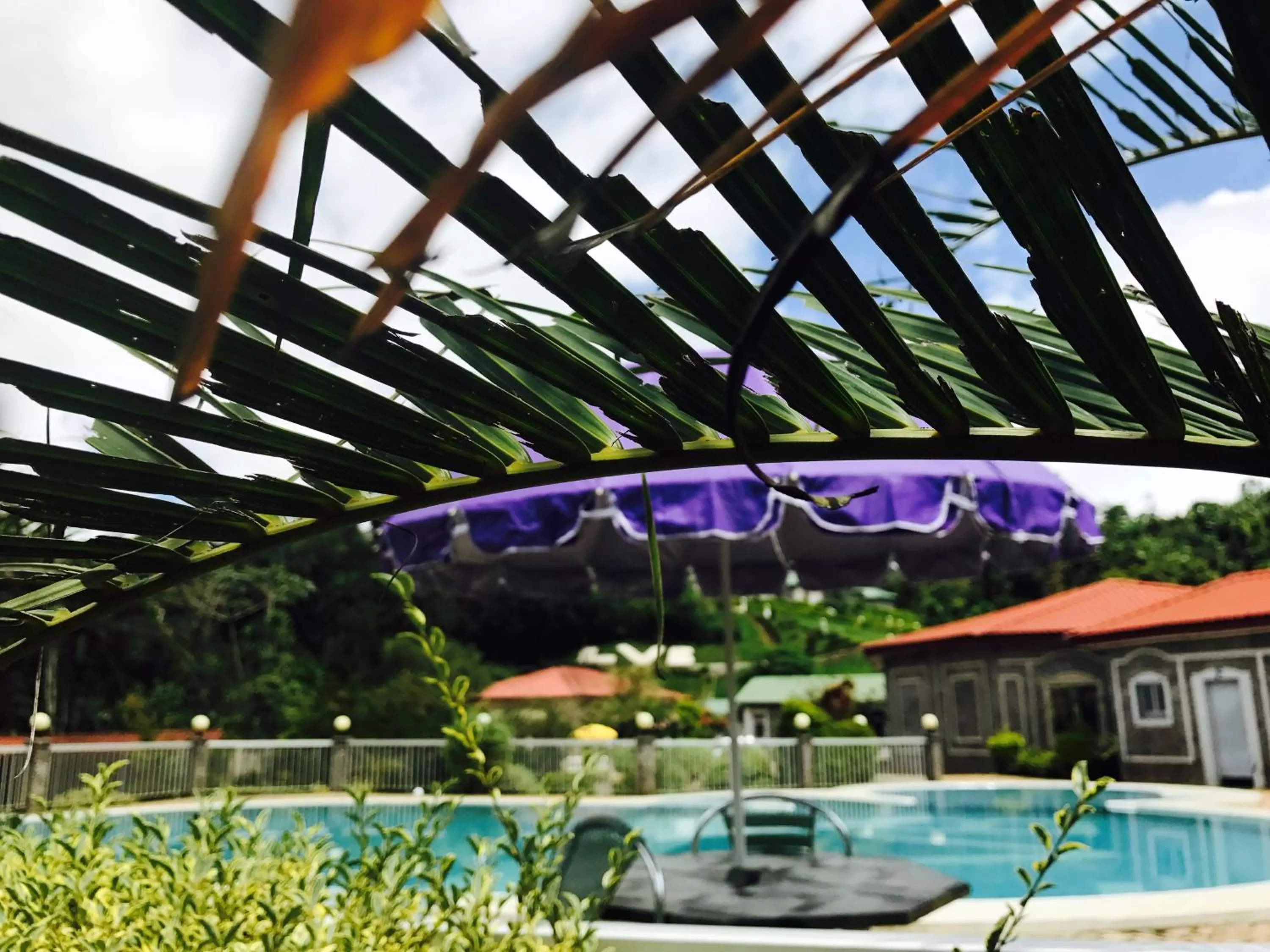 Swimming Pool in La Vallée de Bana