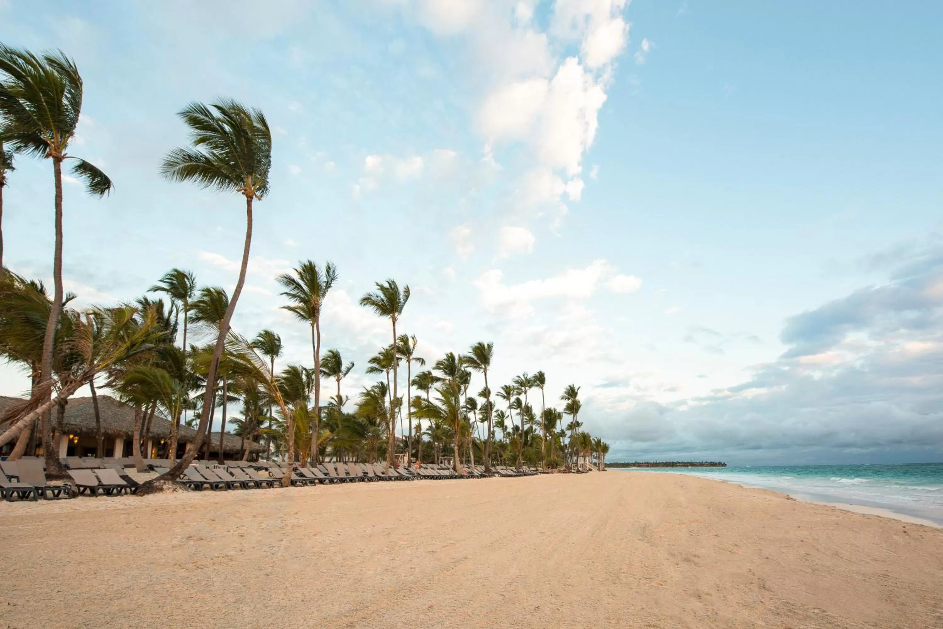 Other in Occidental Punta Cana - All Inclusive
