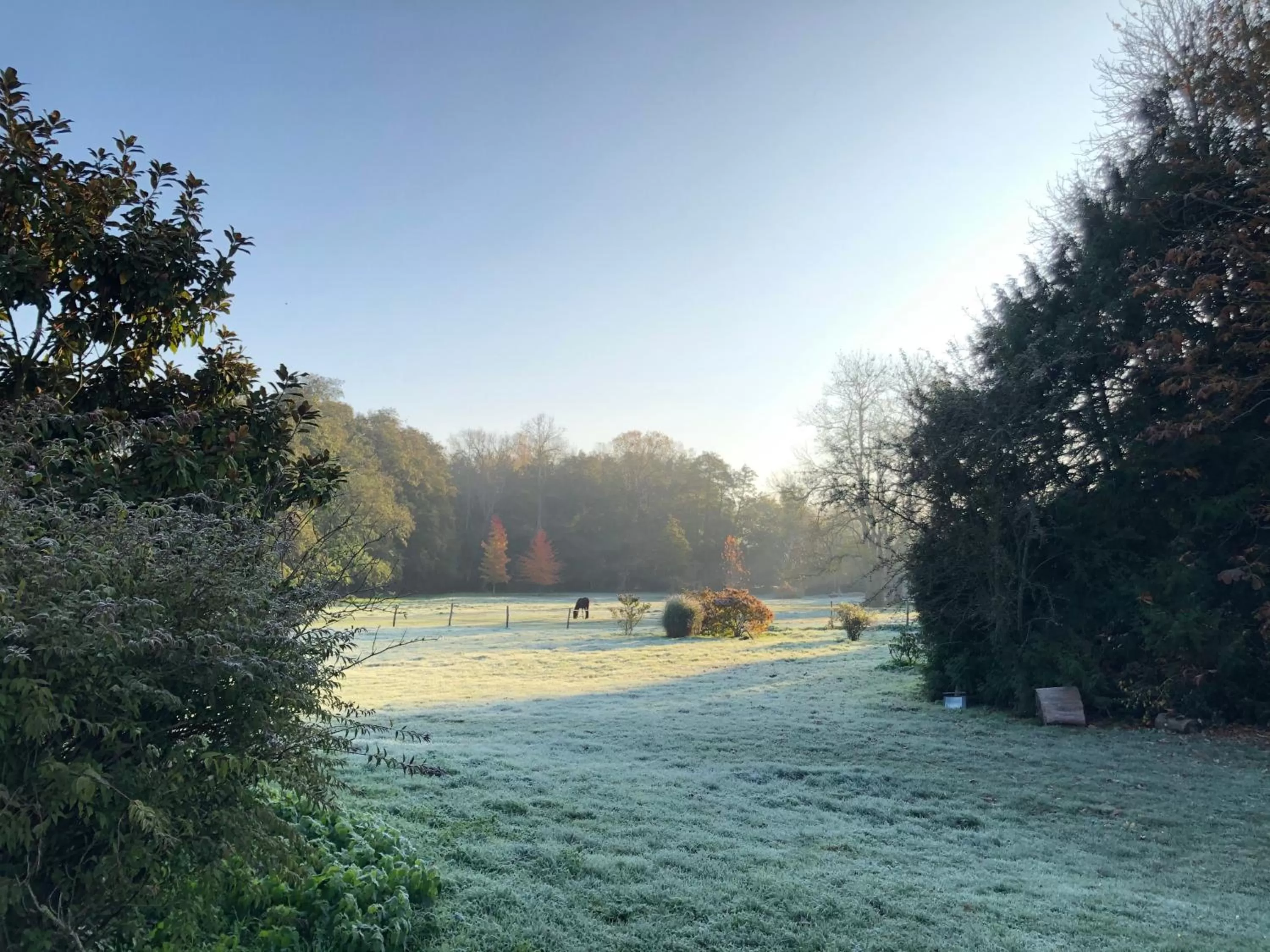 Balcony/Terrace in Le Logis d'Arniere