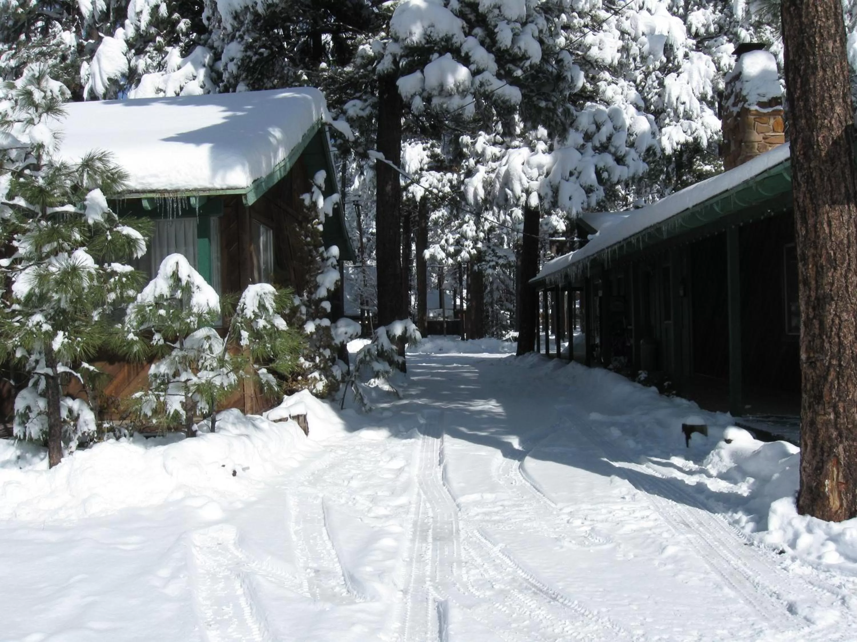 Facade/entrance in TimberLodge Inn