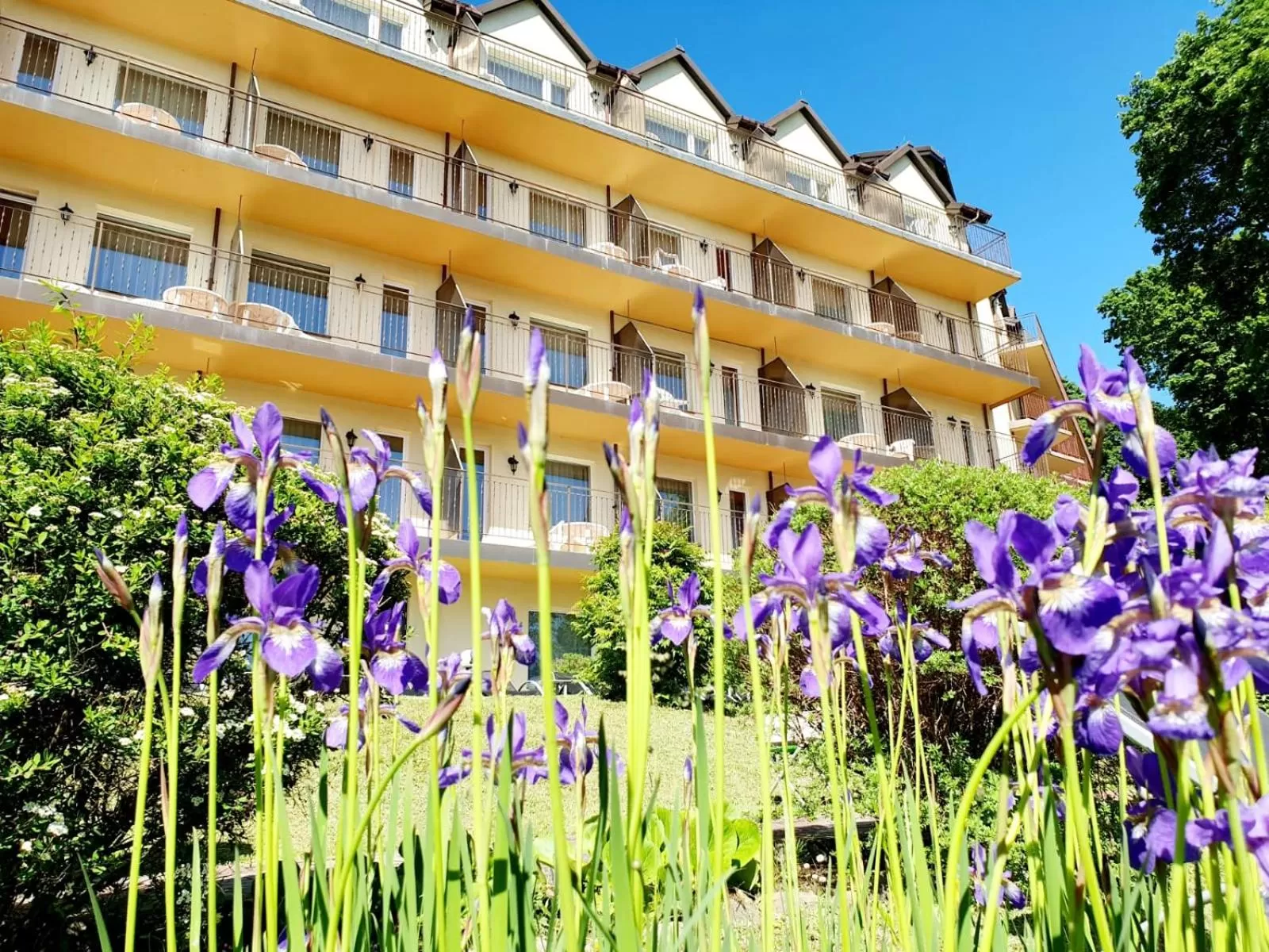 Natural landscape in Hotel Mazuria Country & SPA