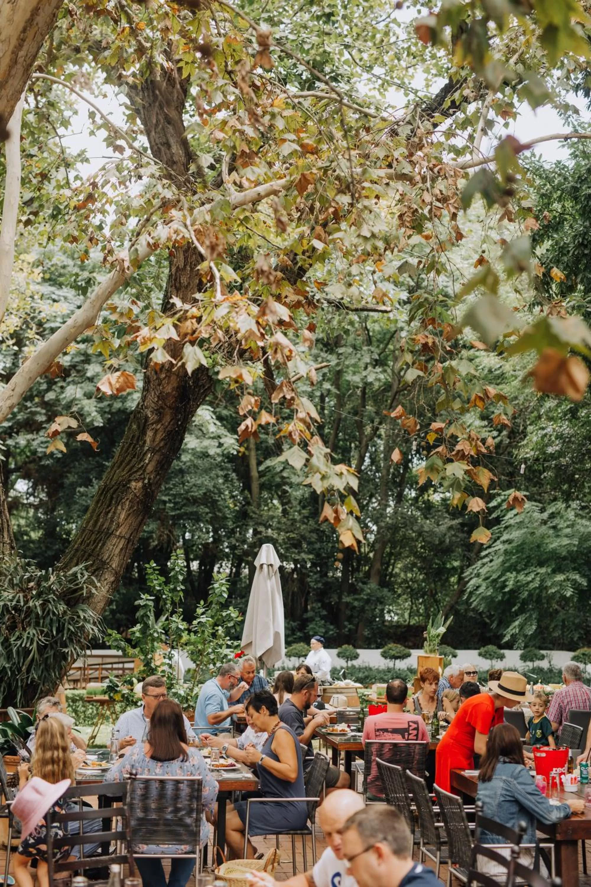 Restaurant/places to eat in Kleinkaap Boutique Hotel