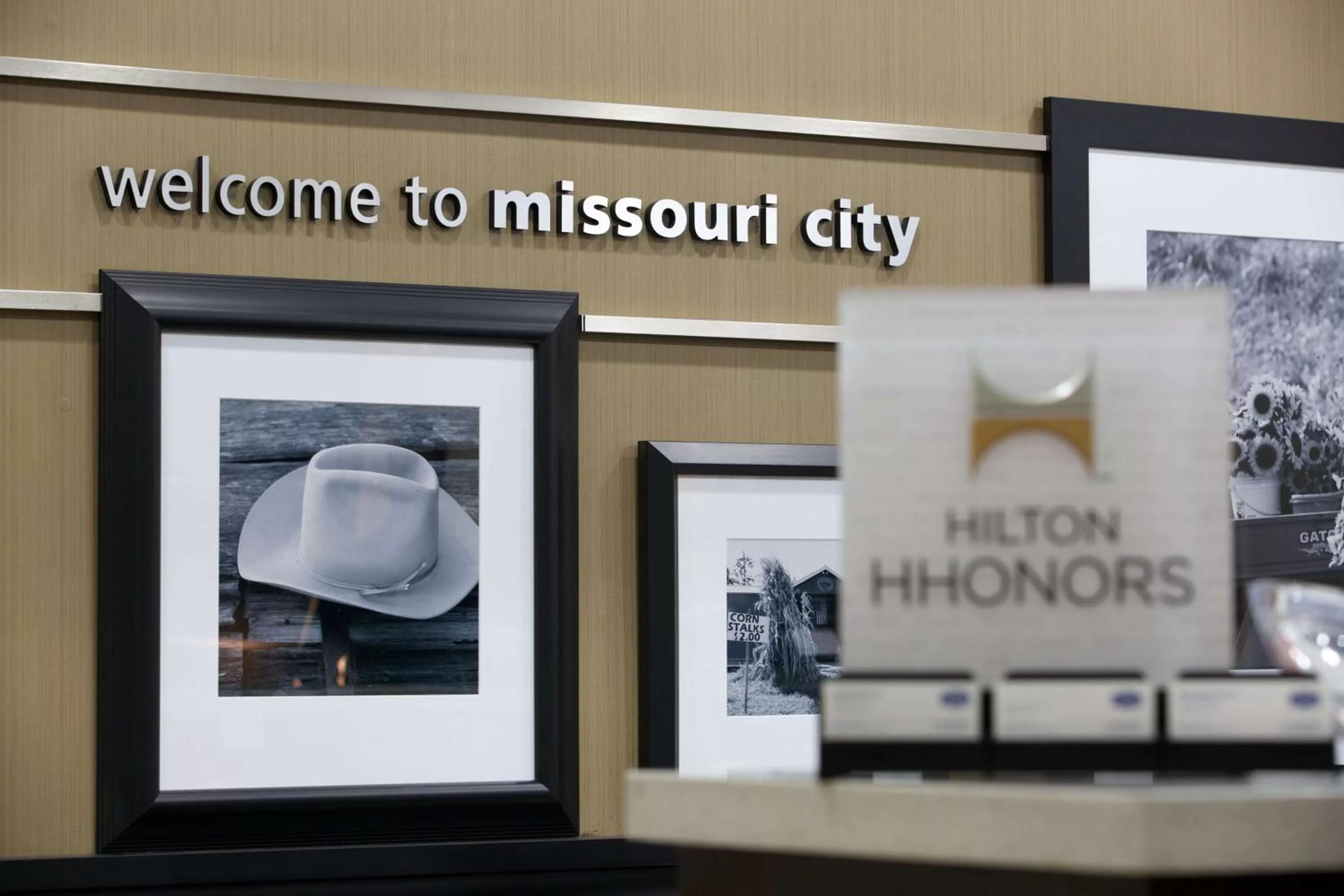 Lobby or reception in Hampton Inn and Suites Missouri City