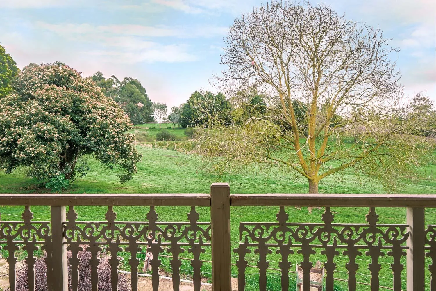 View (from property/room) in Amble at Hahndorf