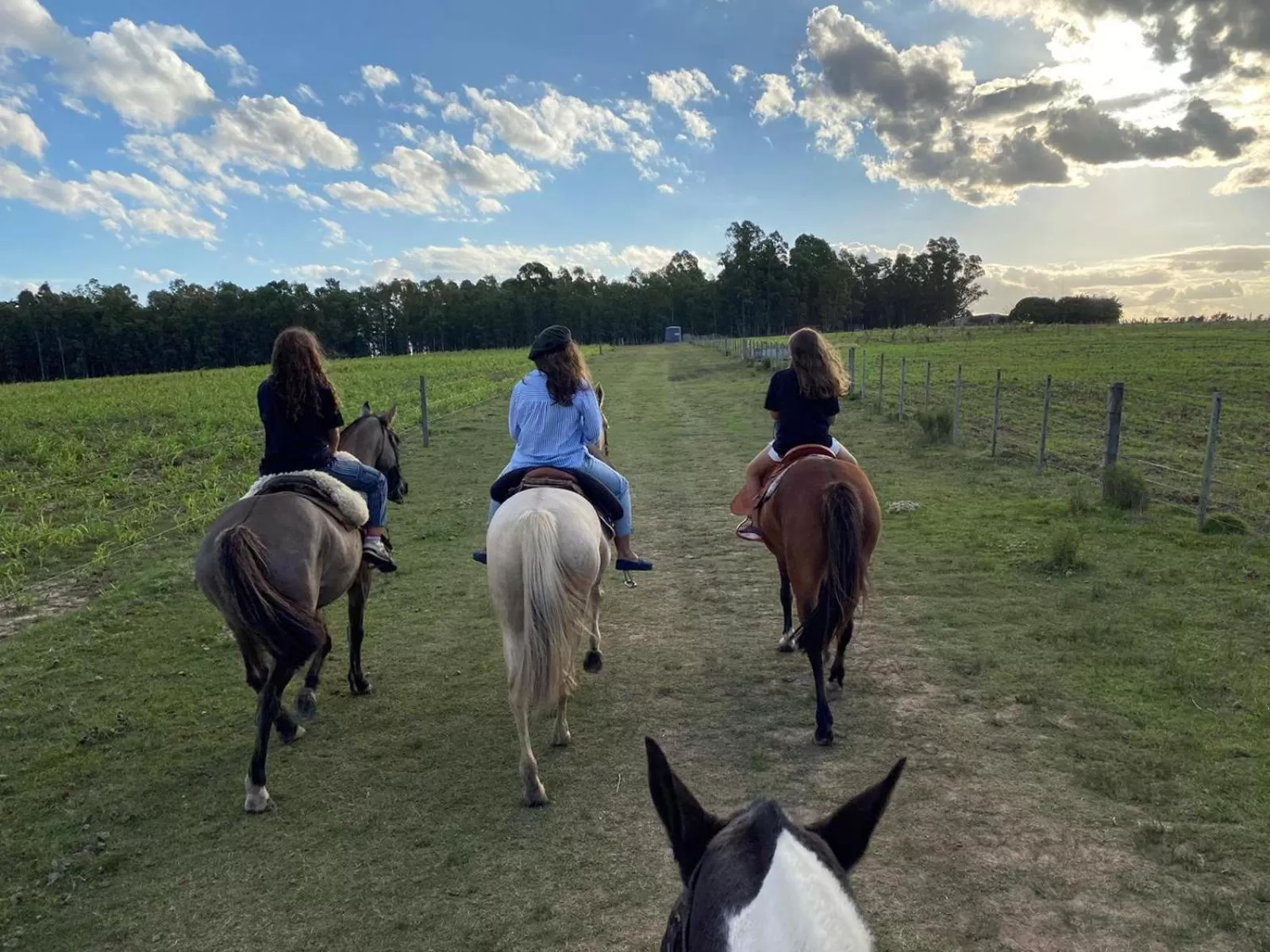Entertainment in Estancia Renacimiento