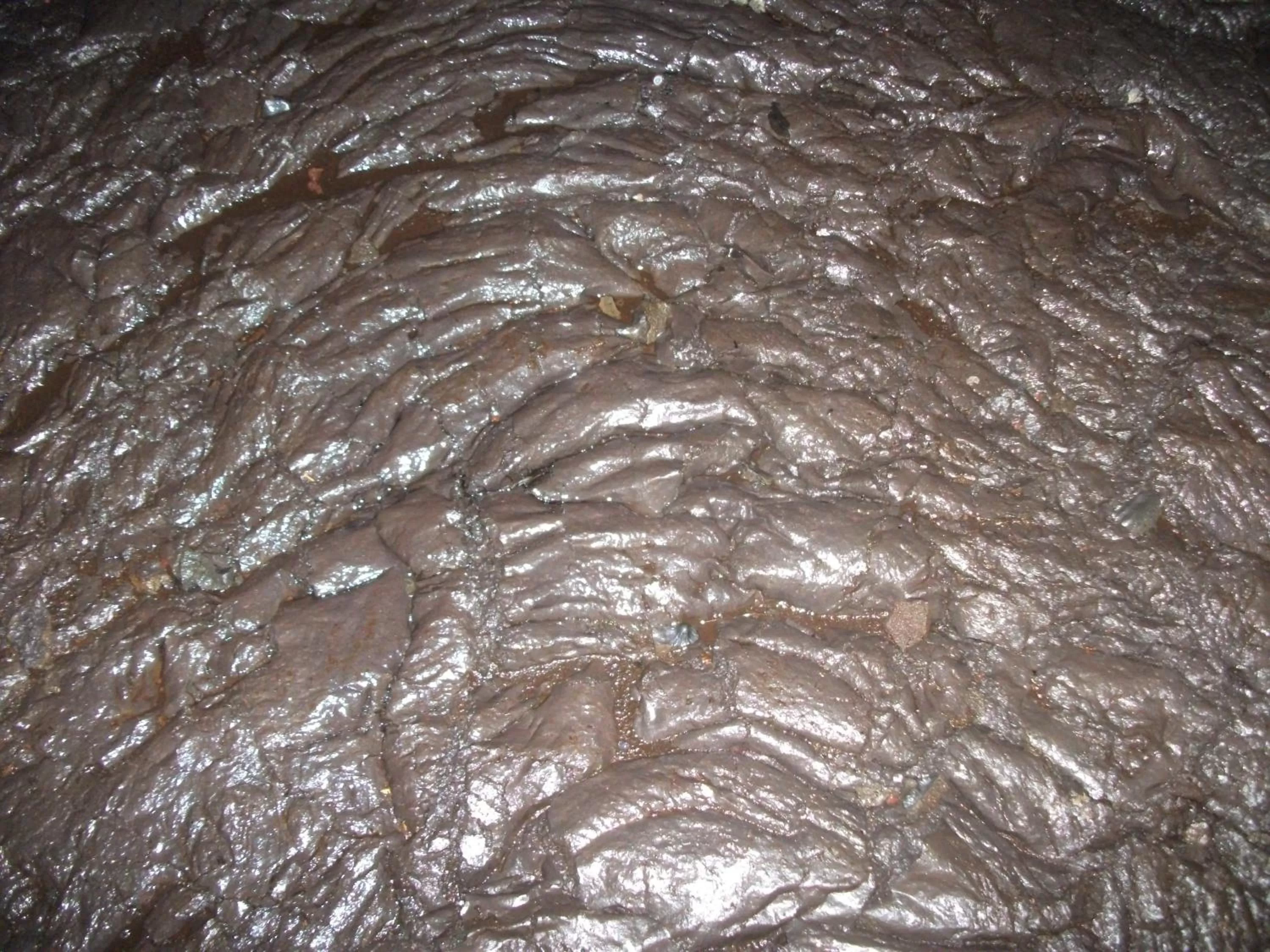 Other in Aloha Crater Lodge