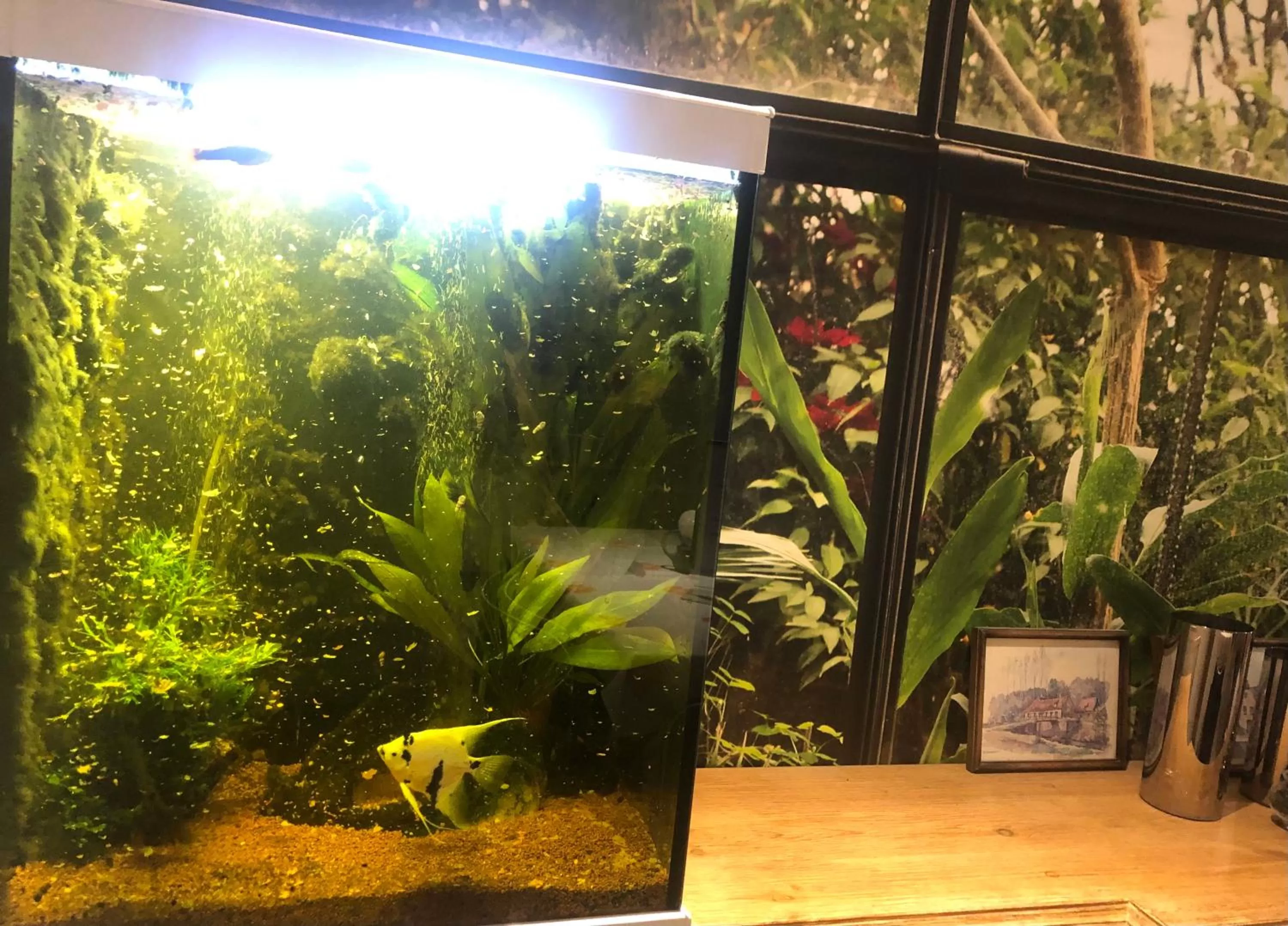 Living room in Maison d'hôtes Aux Deux Cigognes