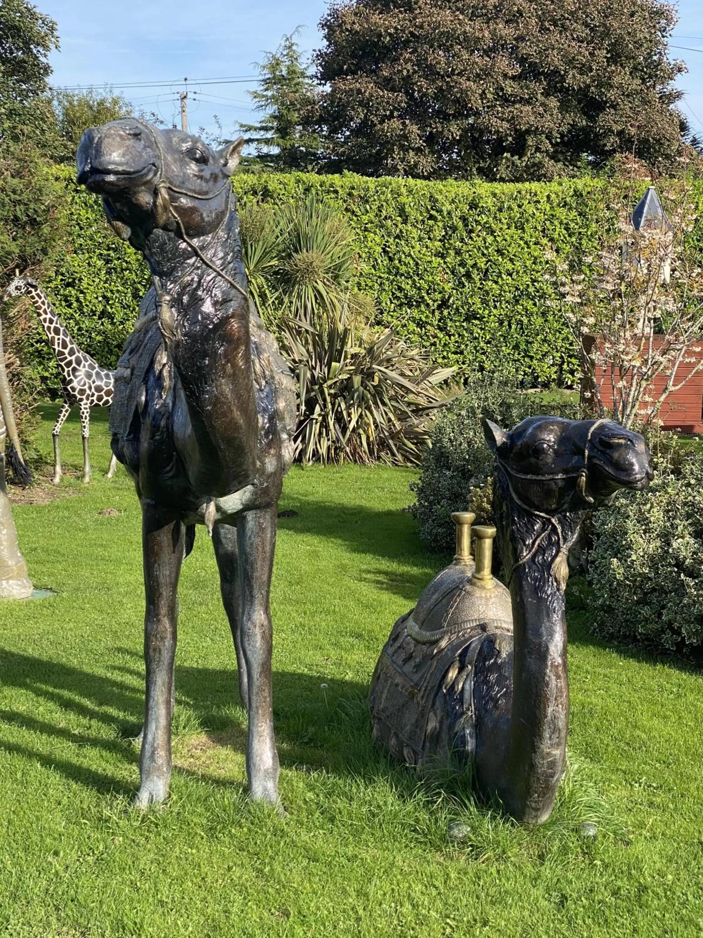 Garden in The Hilltop Haven