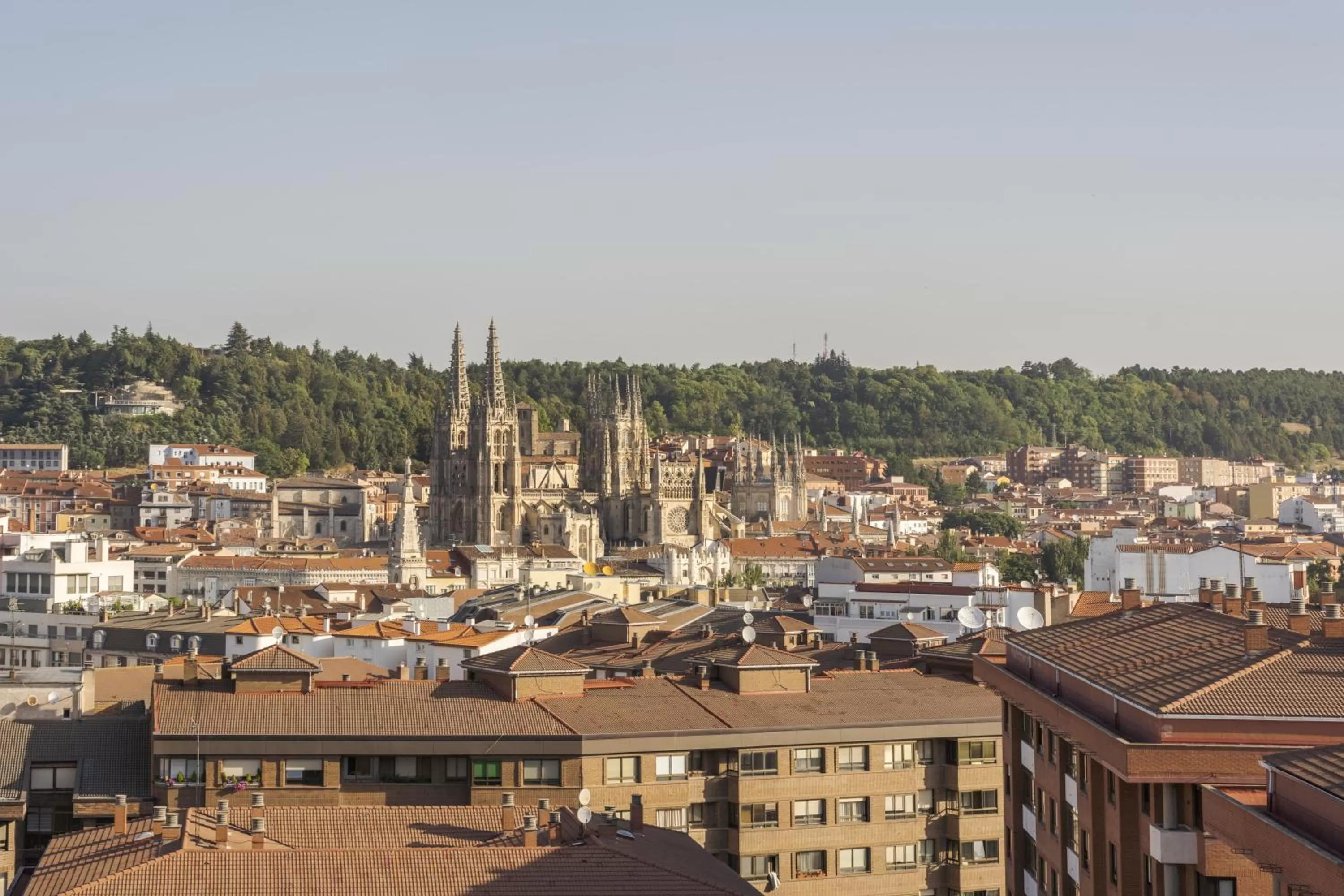 City view in RICE Bulevar