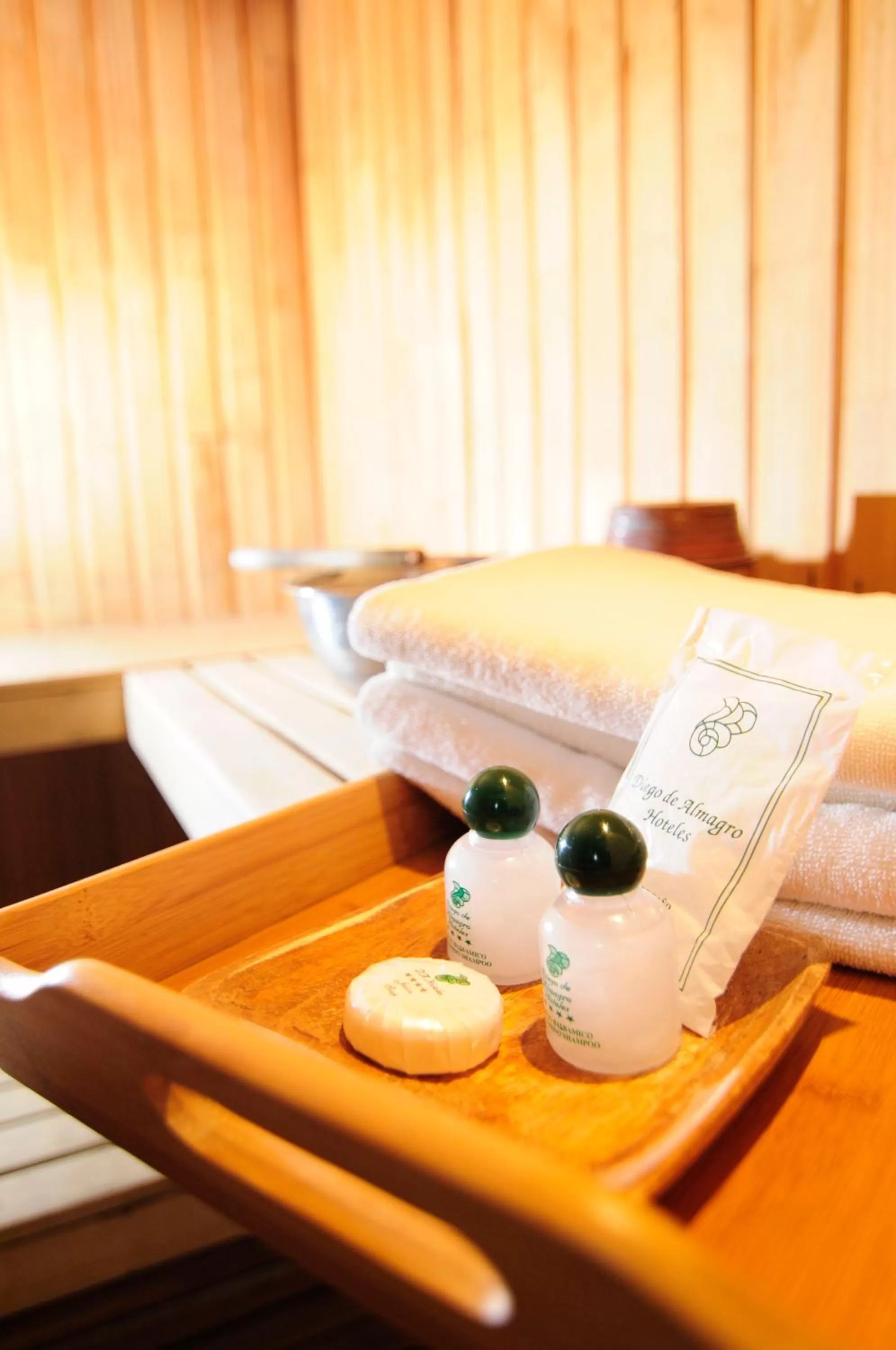 Other, Bed in Hotel Diego De Almagro Calama