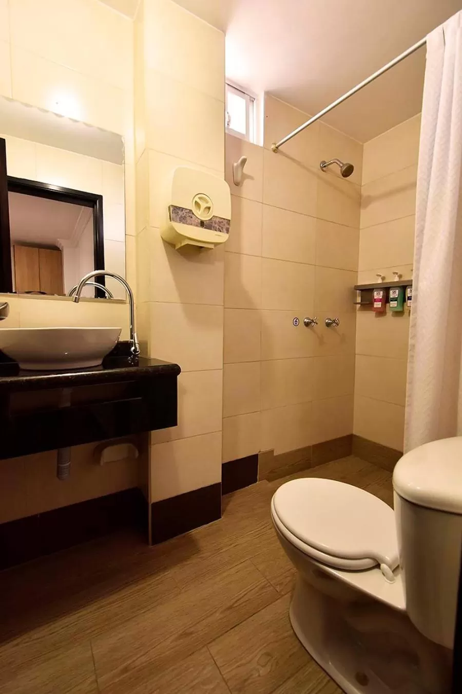 Bathroom in Hotel Plaza Victoria