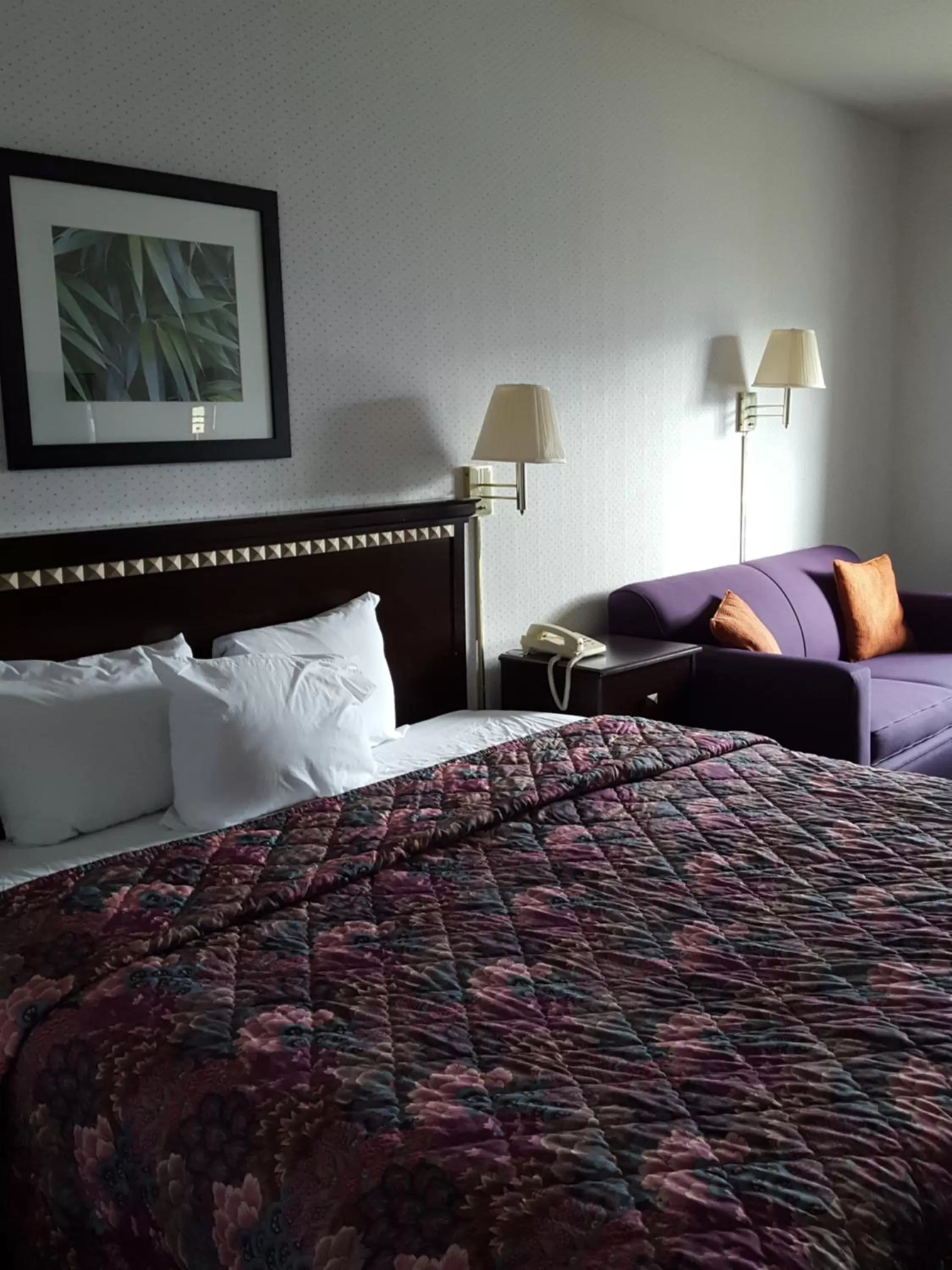 Photo of the whole room, Bed in Rodeway Inn Urbana Champaign University Area