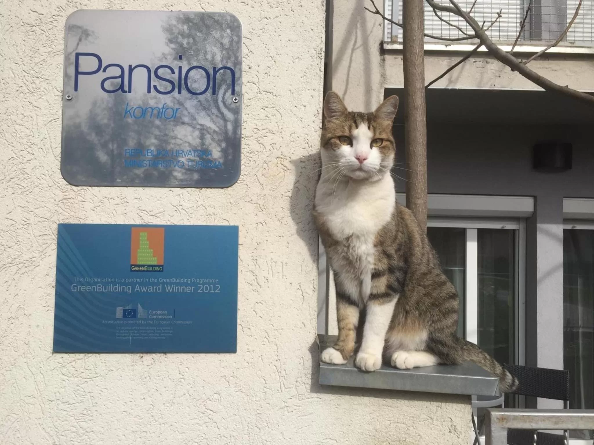 Pets in Pansion Vila Vanda