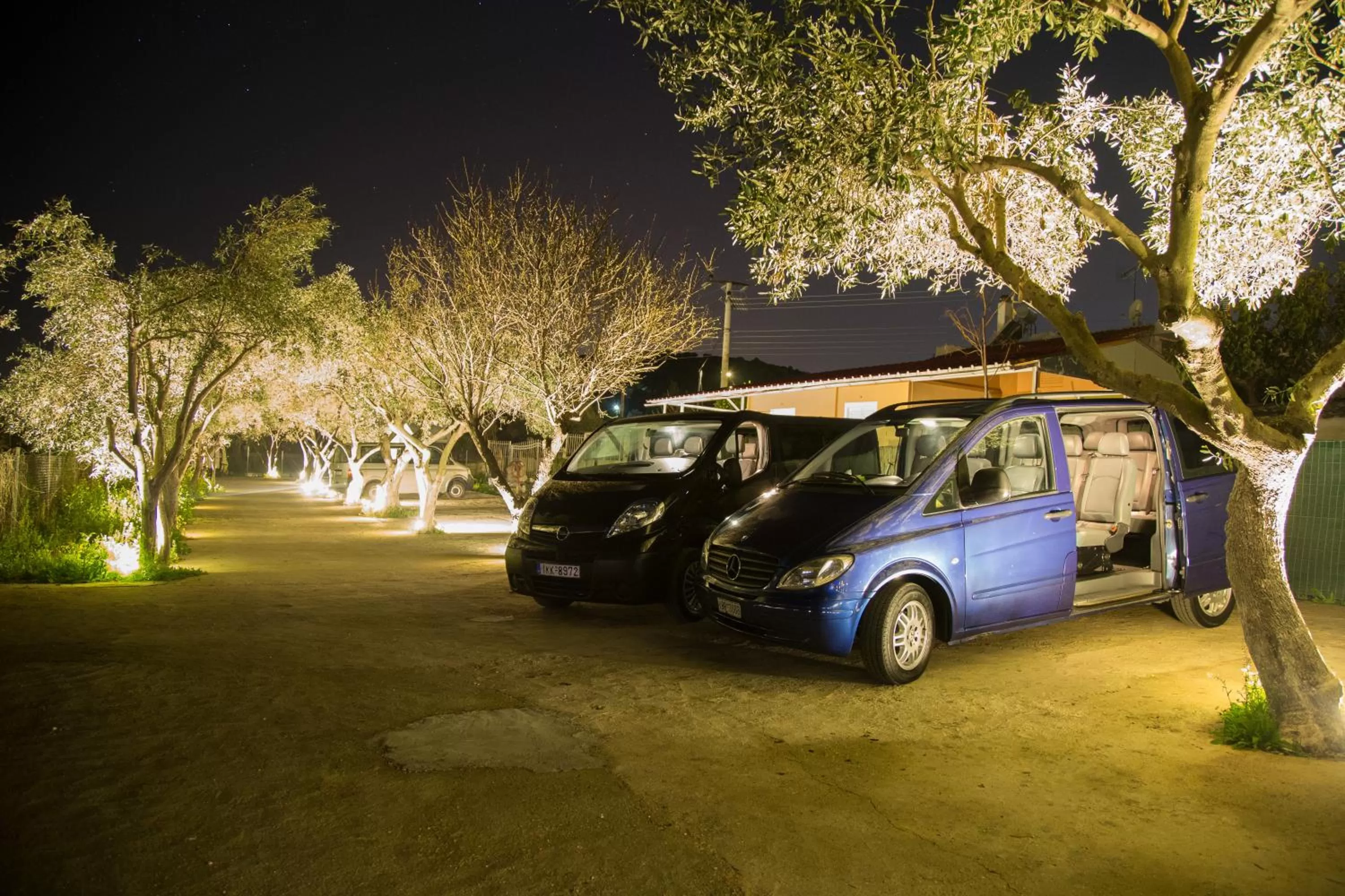 Night in Apartments Tina FREE transfer from-to the airport