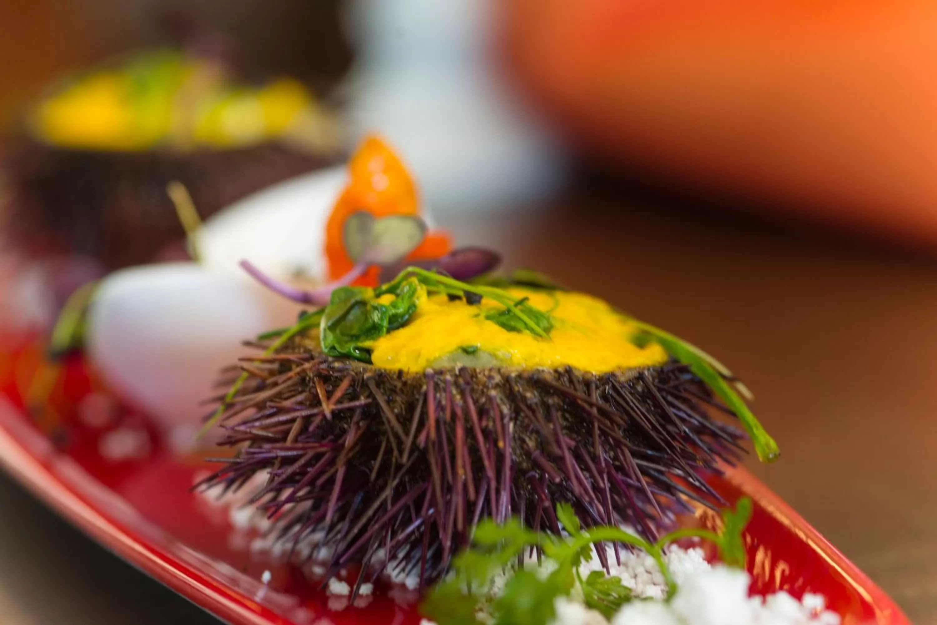 Food close-up in Lindner Hotel Mallorca Portals Nous, part of JdV by Hyatt