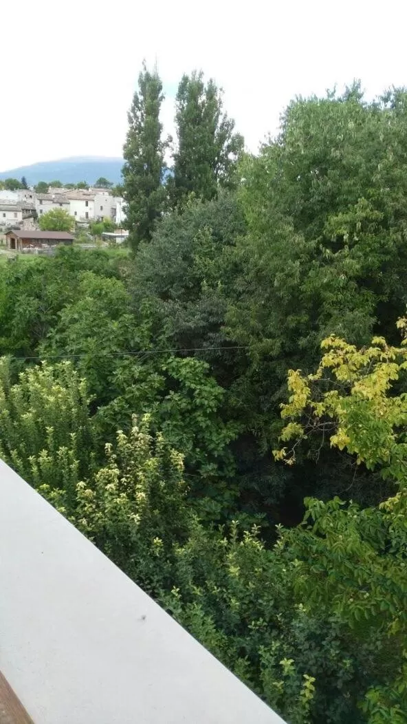 Day in Il Giardino del Gallo