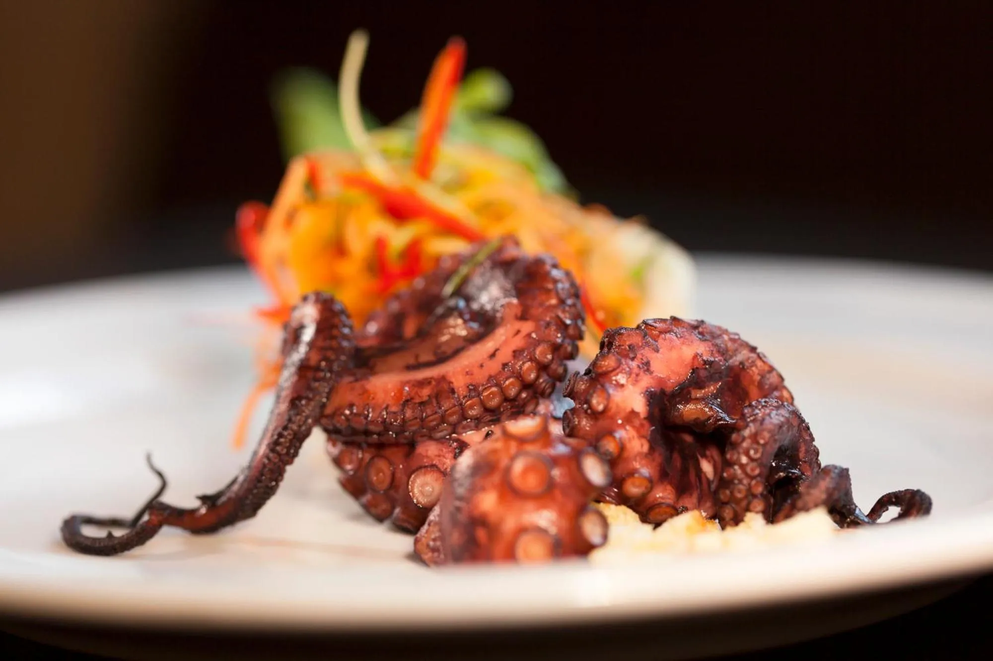 Restaurant/places to eat in Europa Hotel Design Spa 1877